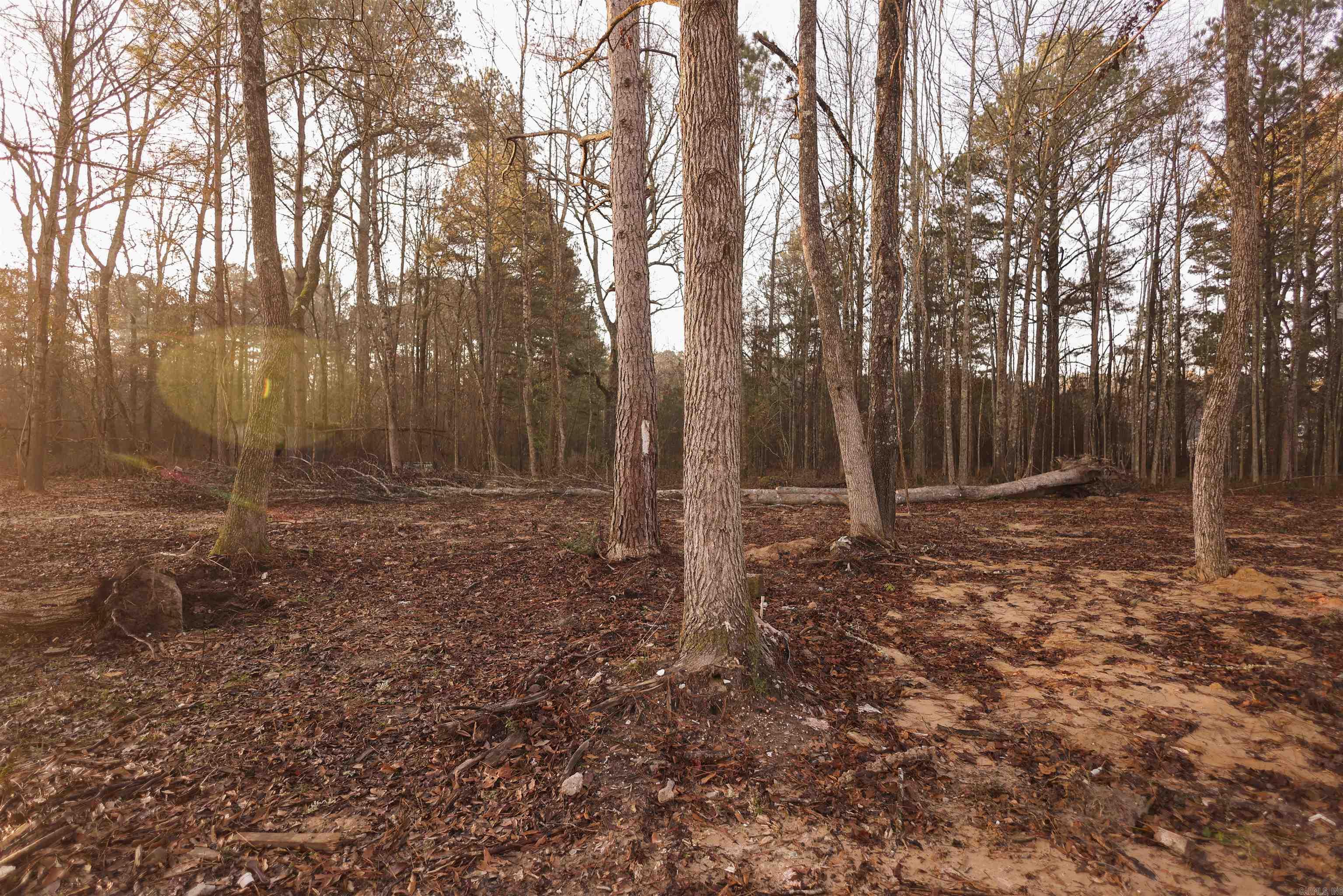 2464  Cole Road  Hensley, AR