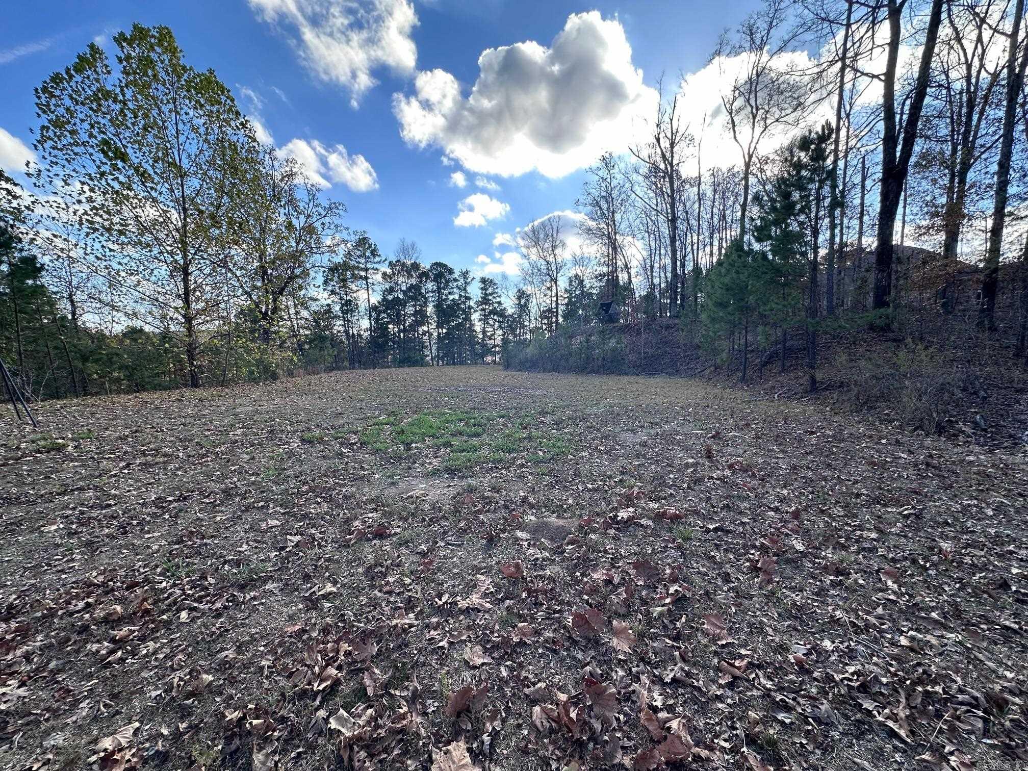 LOT 27  BROAD HAWK  Paron, AR