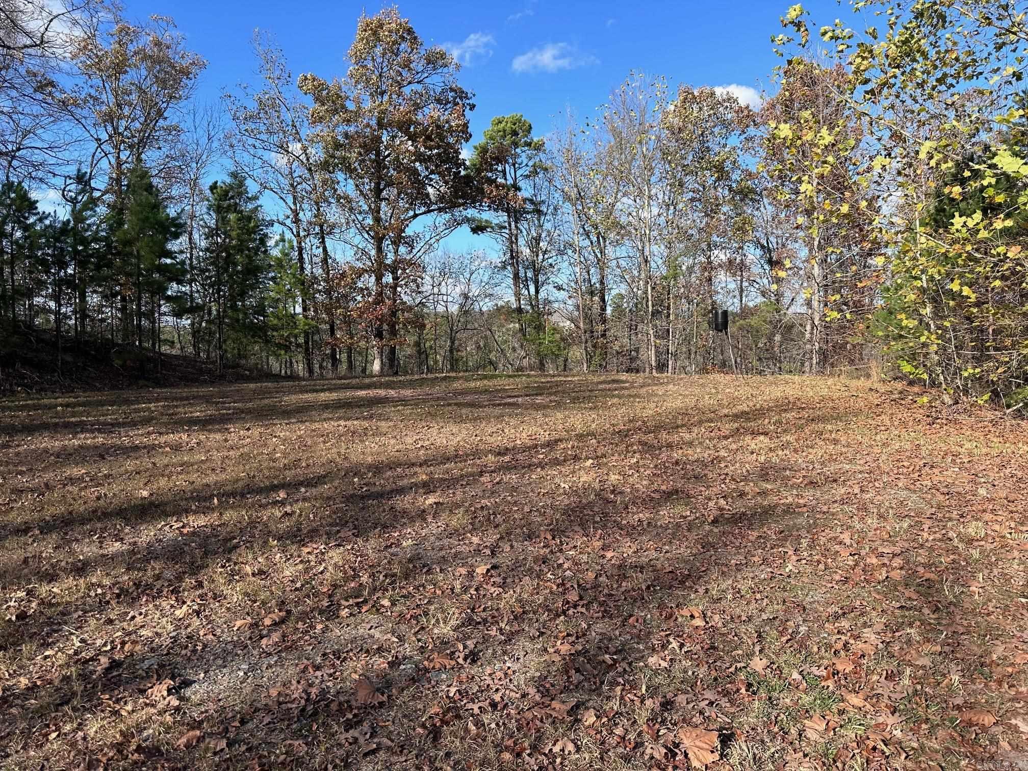 LOT 27  BROAD HAWK  Paron, AR