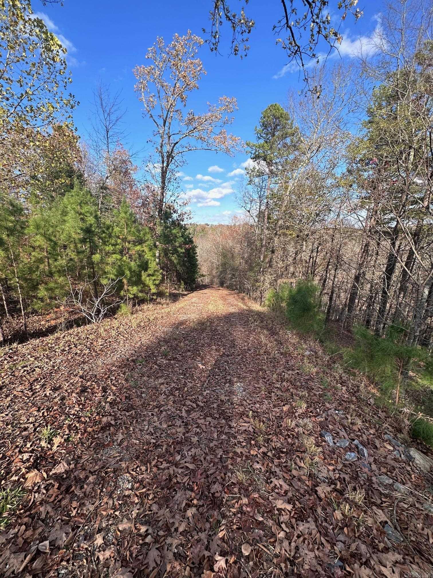 LOT 27  BROAD HAWK  Paron, AR
