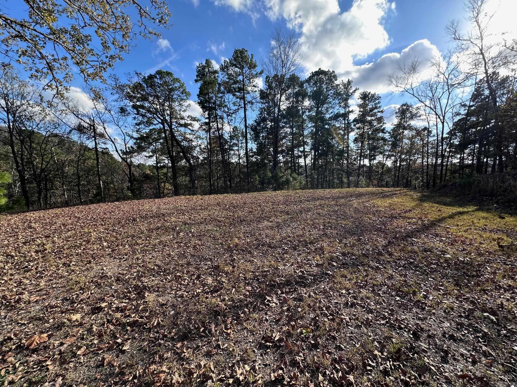 LOT 27  BROAD HAWK  Paron, AR