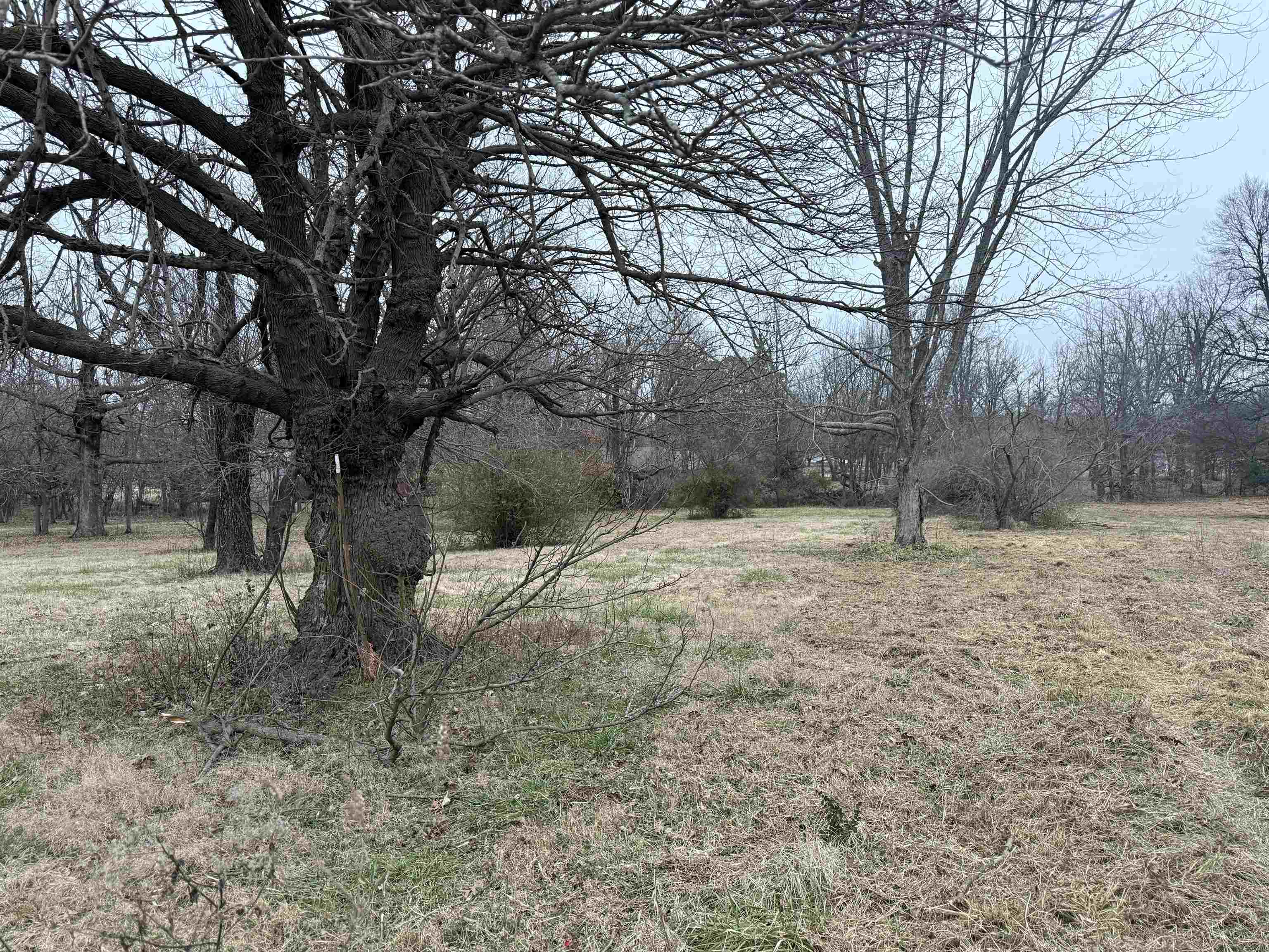 547  Greene 438  Marmaduke, AR