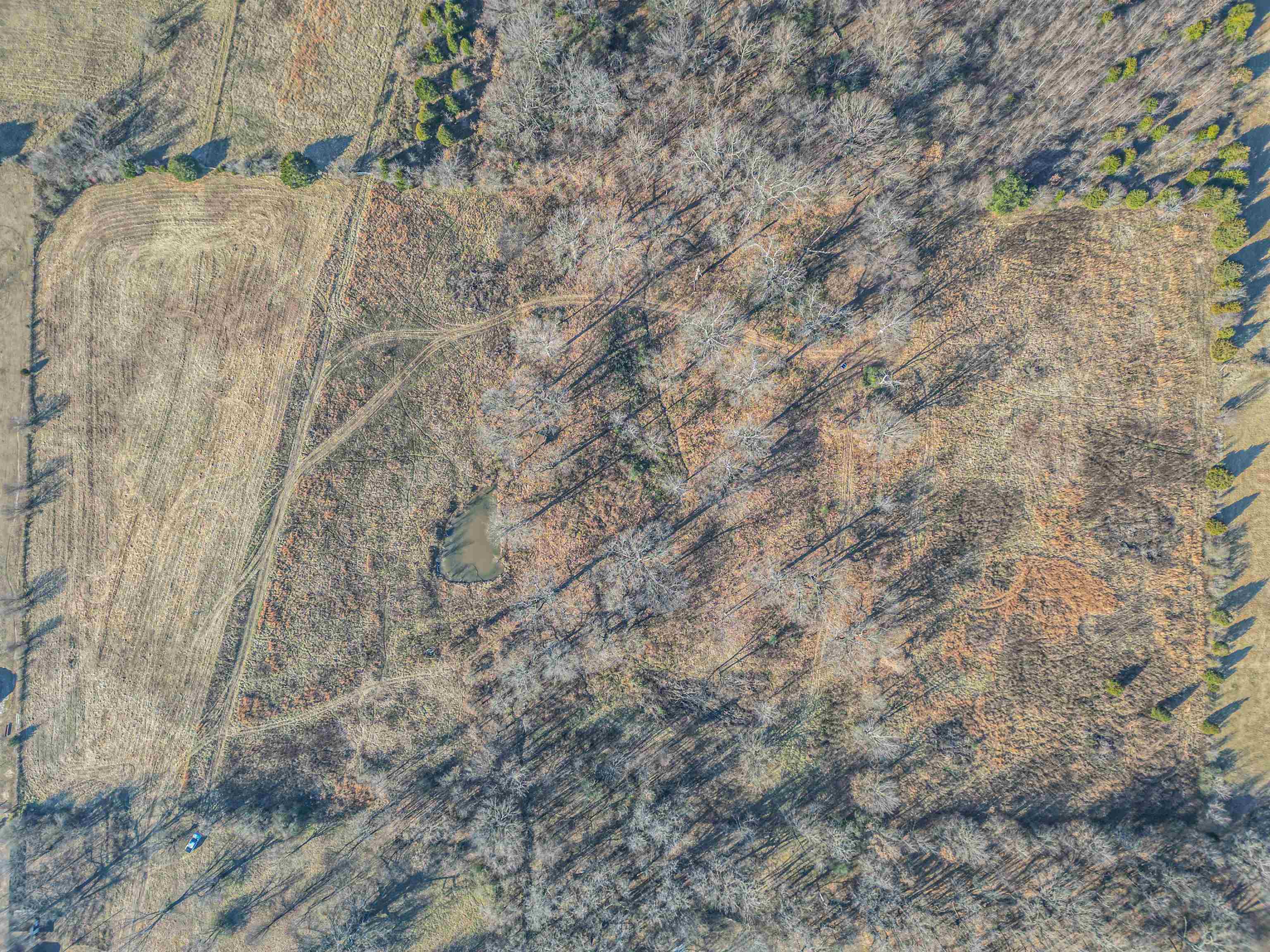 547  Greene 438  Marmaduke, AR