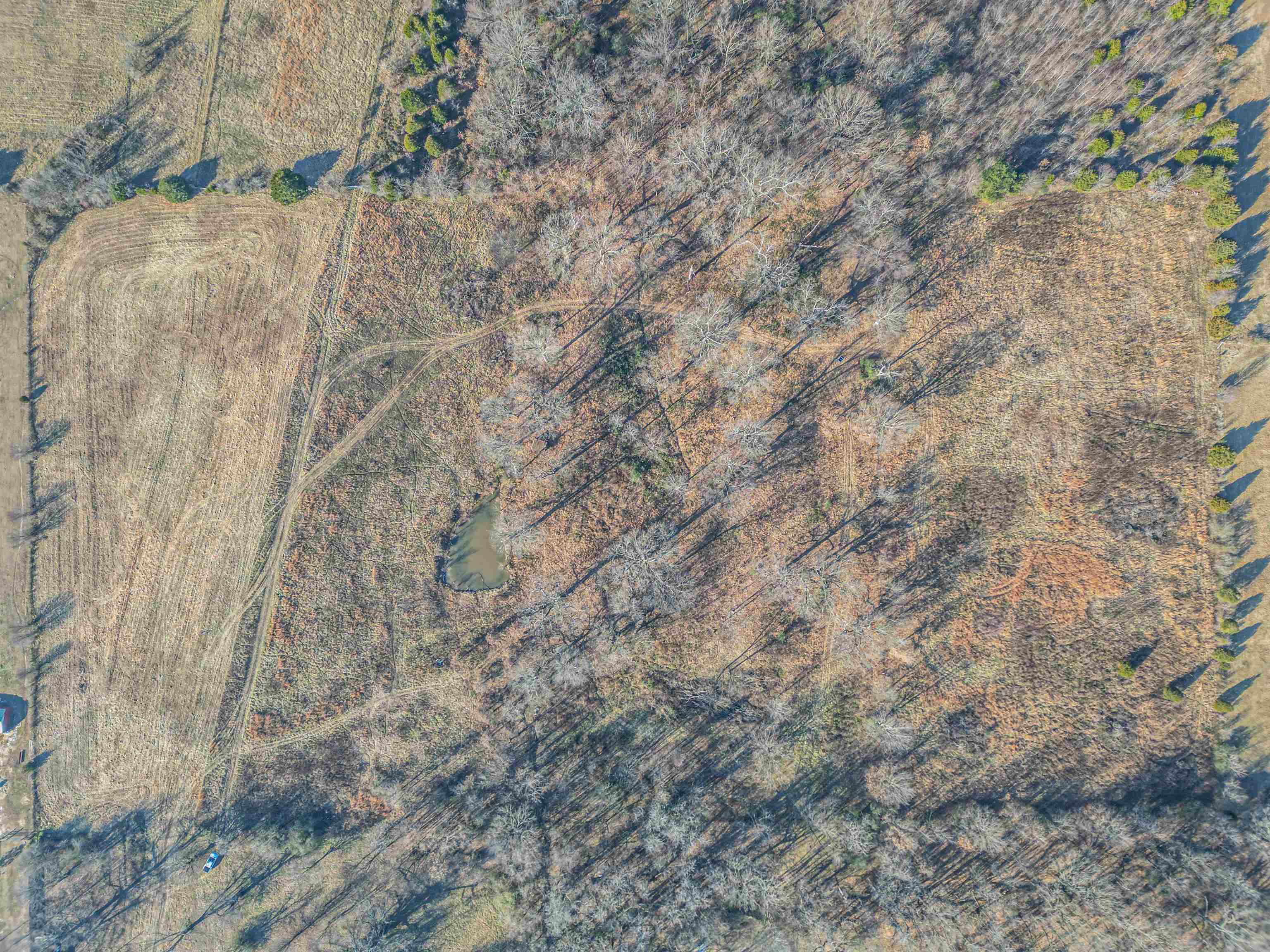 547  Greene 438  Marmaduke, AR