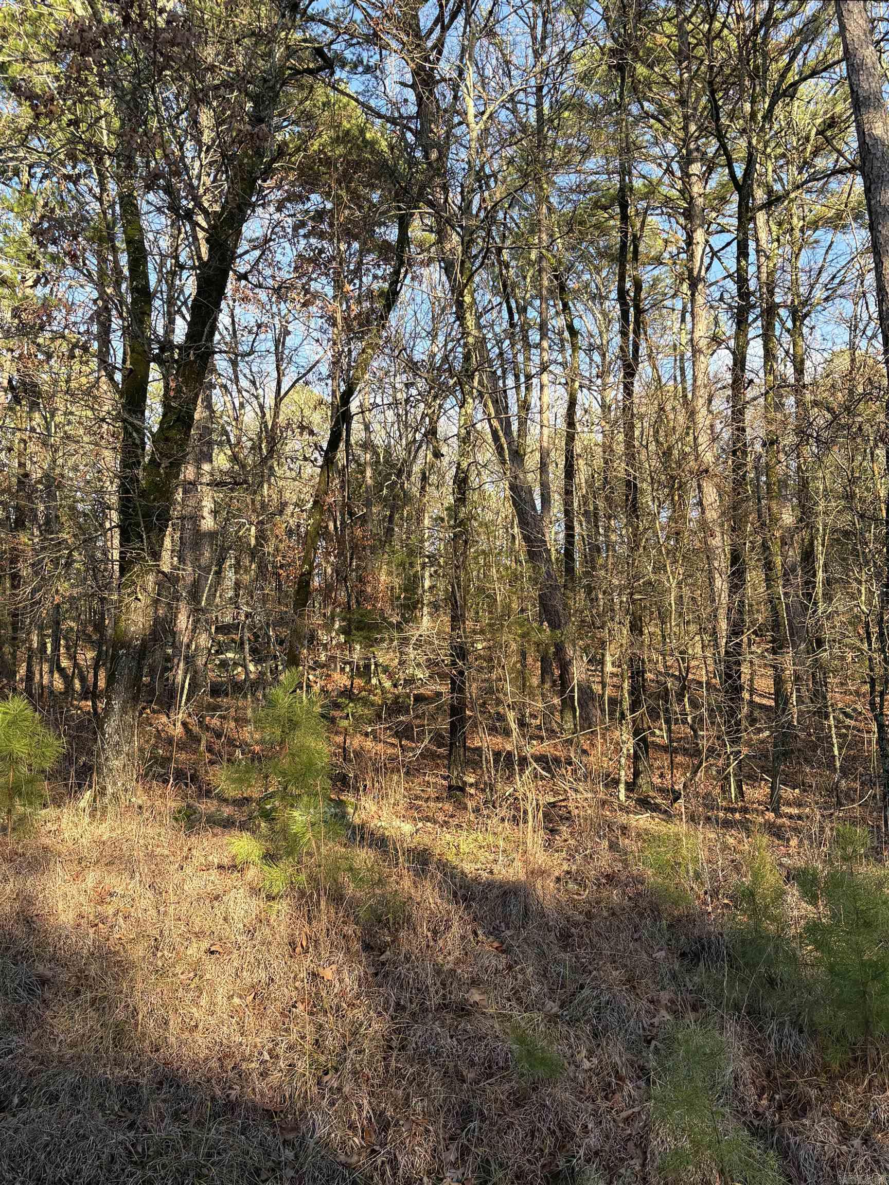 0  London  Fairfield Bay, AR