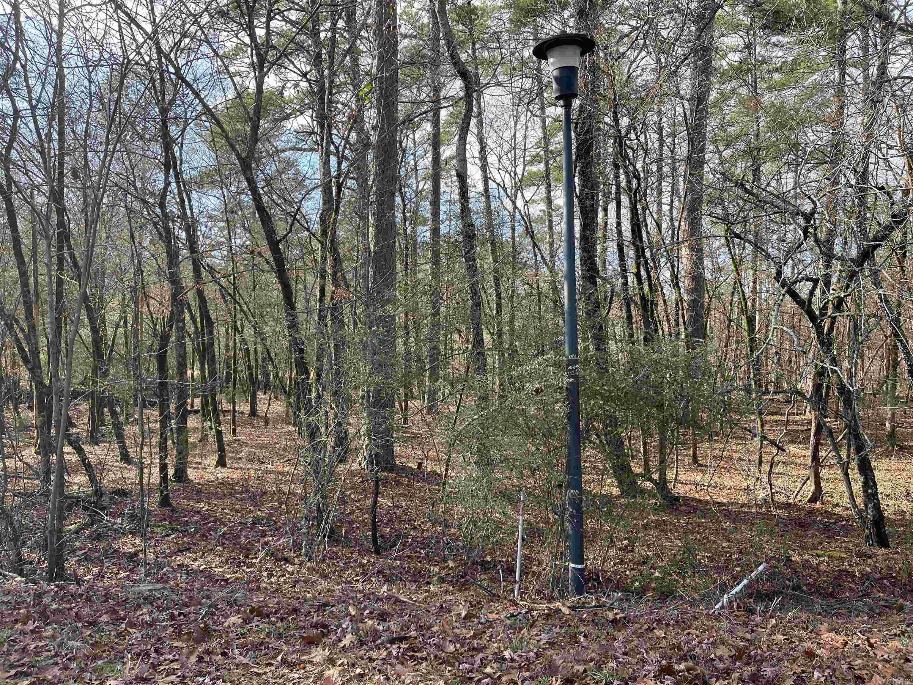 14  Fastota Way  Hot Springs Village, AR
