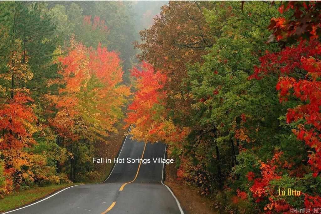 14  Fastota Way  Hot Springs Village, AR