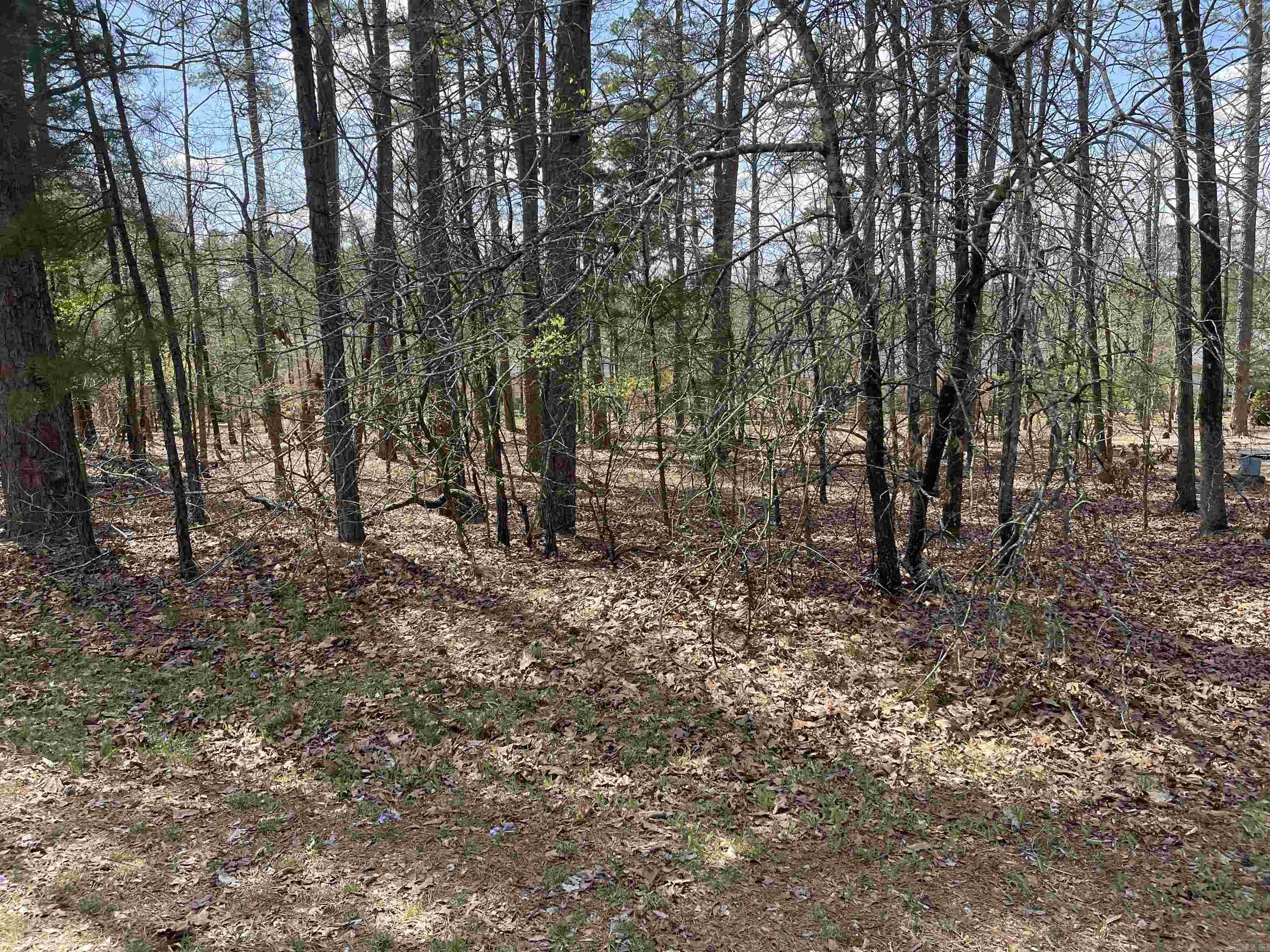 24  Darro  Hot Springs Village, AR