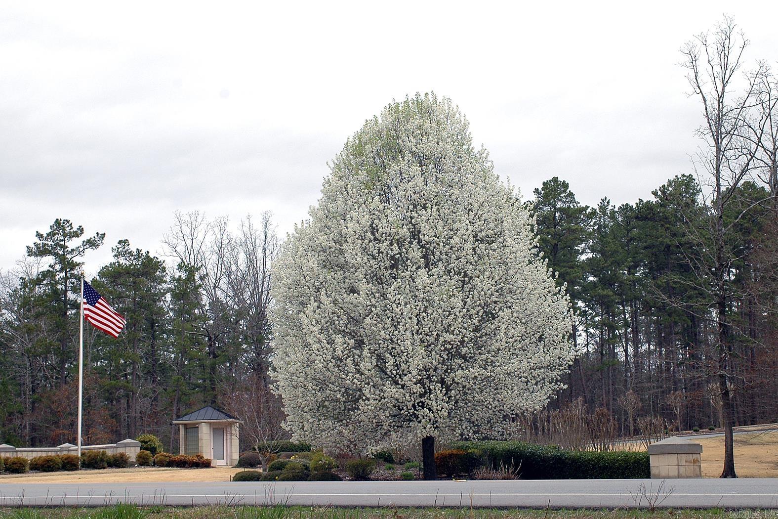 24  Darro  Hot Springs Village, AR