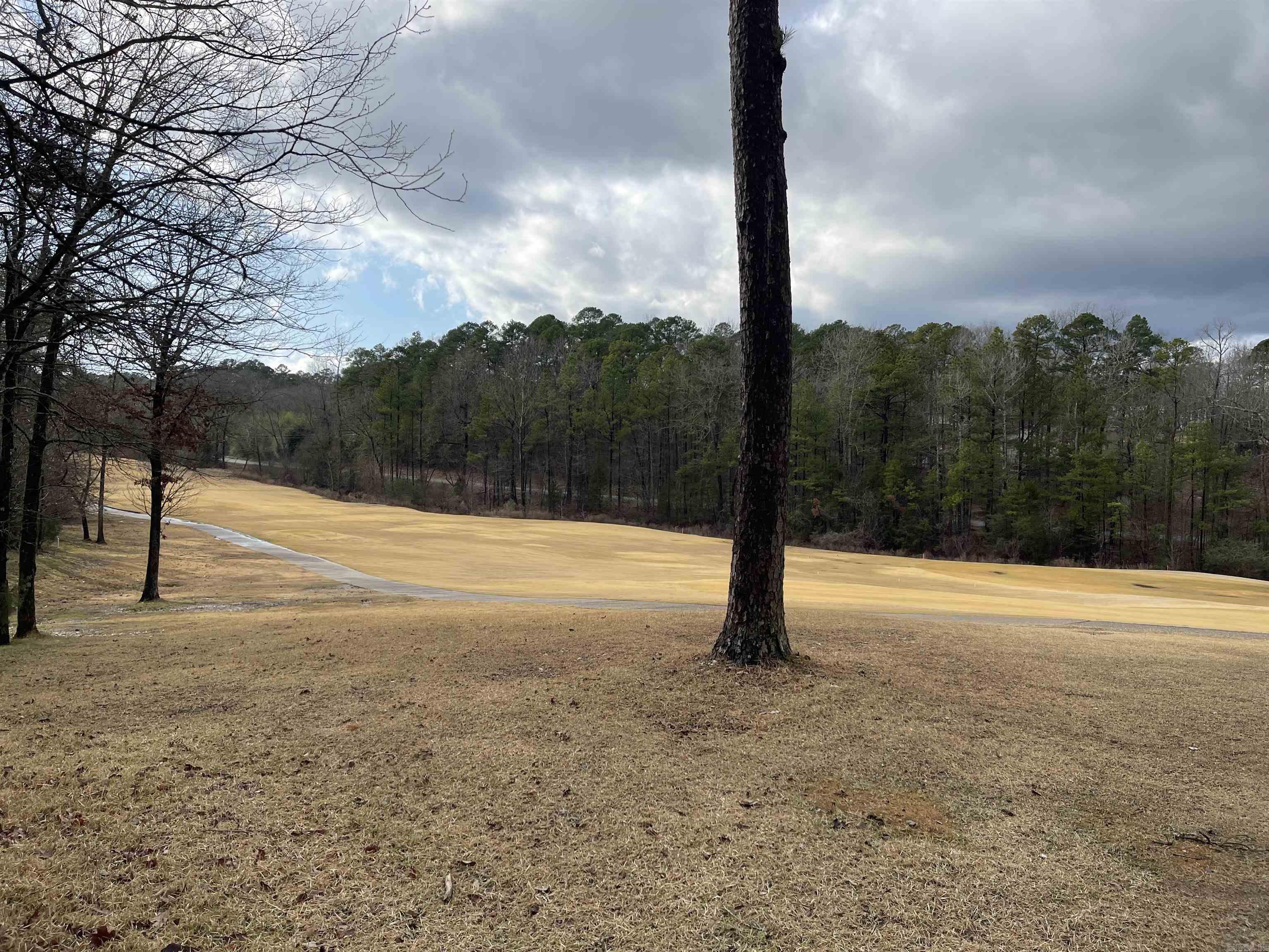 24  Darro  Hot Springs Village, AR