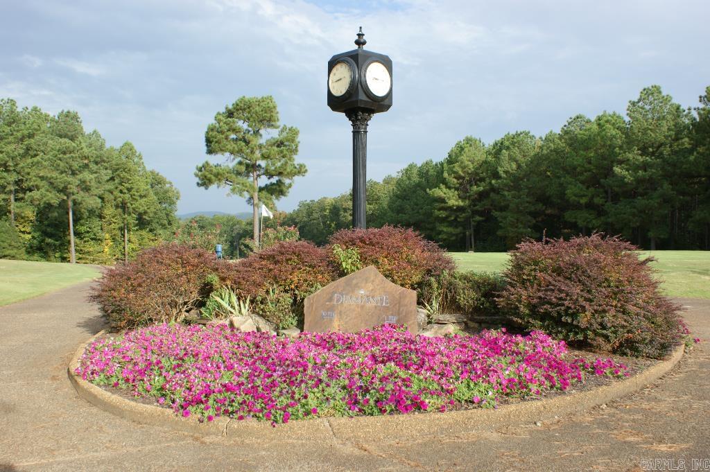24  Darro  Hot Springs Village, AR