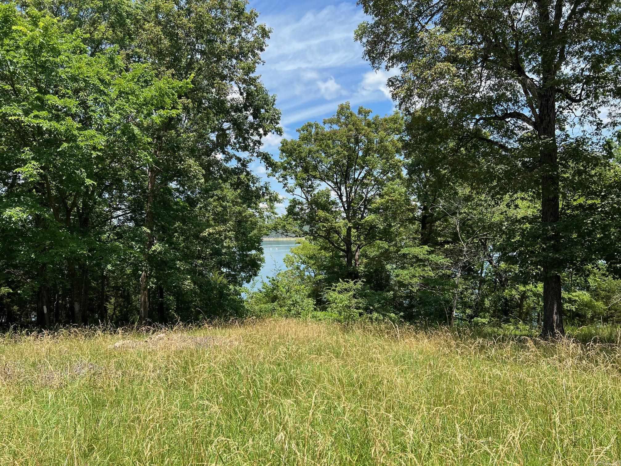 113  Evergreen Cove  Bull Shoals, AR