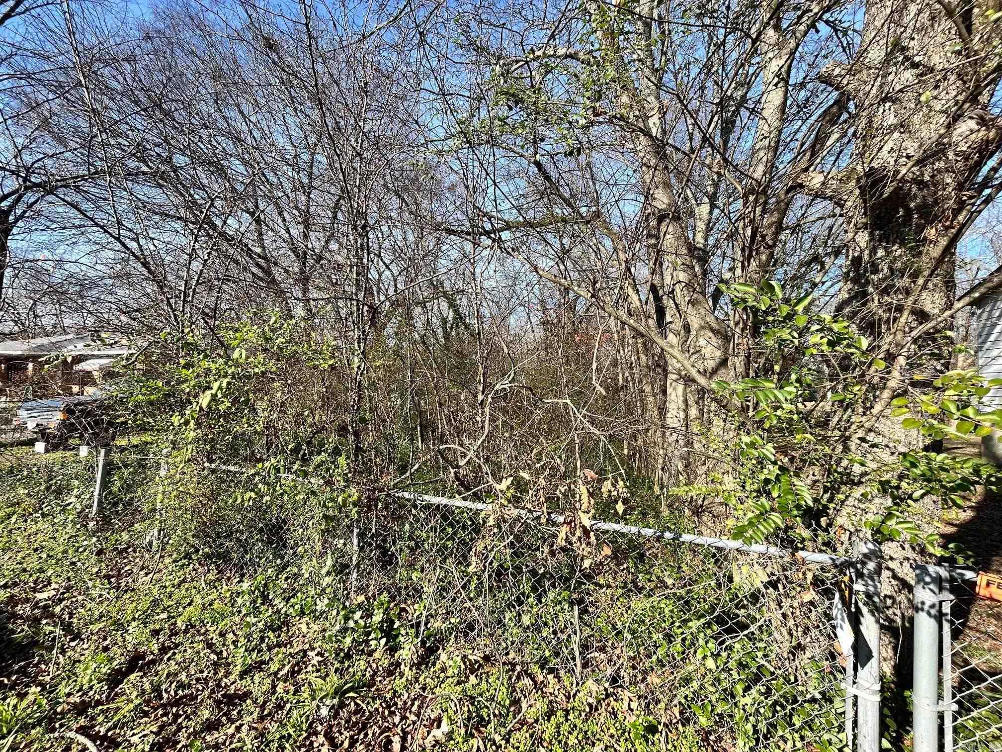 102  Jones  Hot Springs, AR