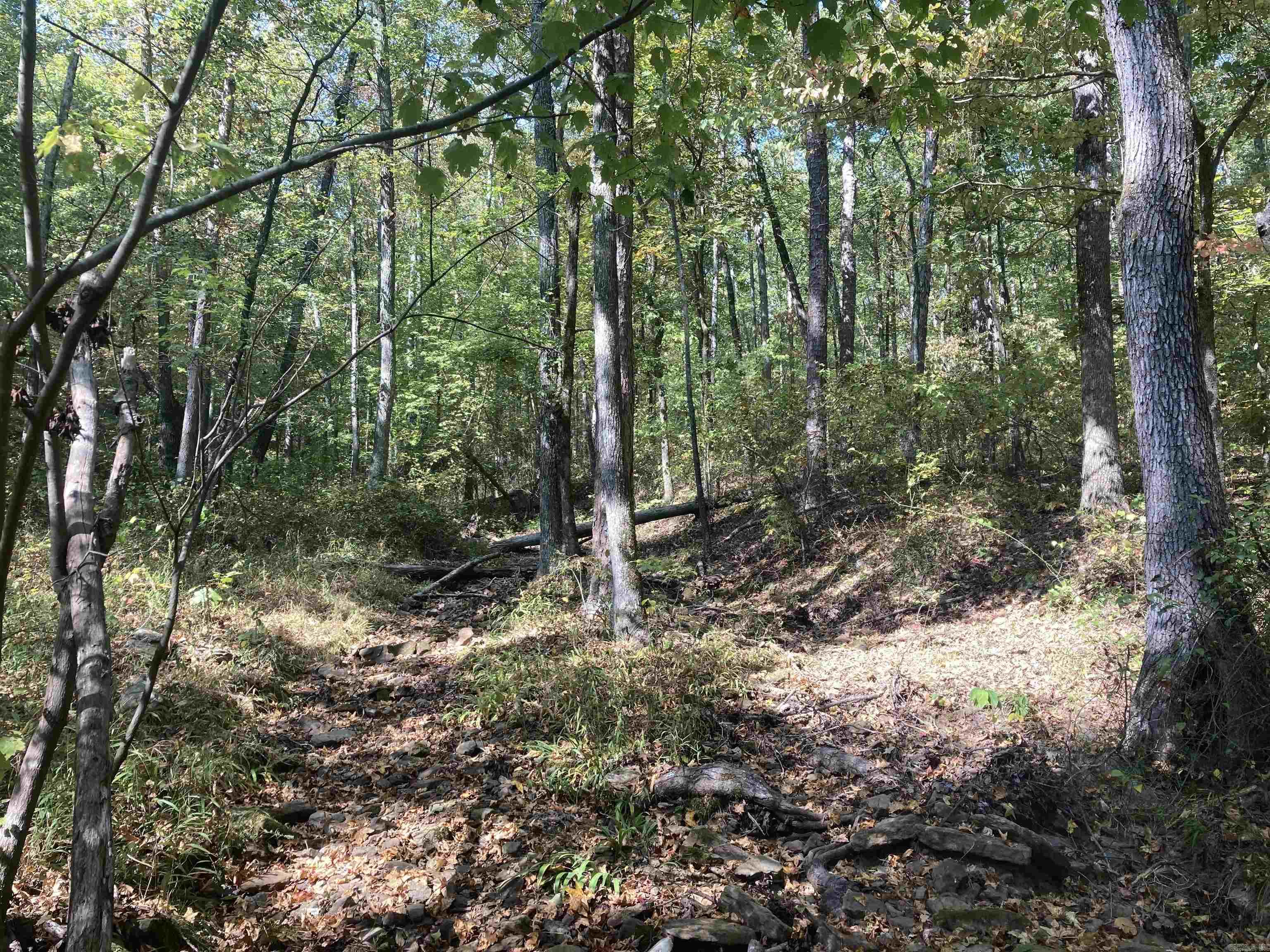 000  Mossy Ridge Rd.  Mountain View, AR