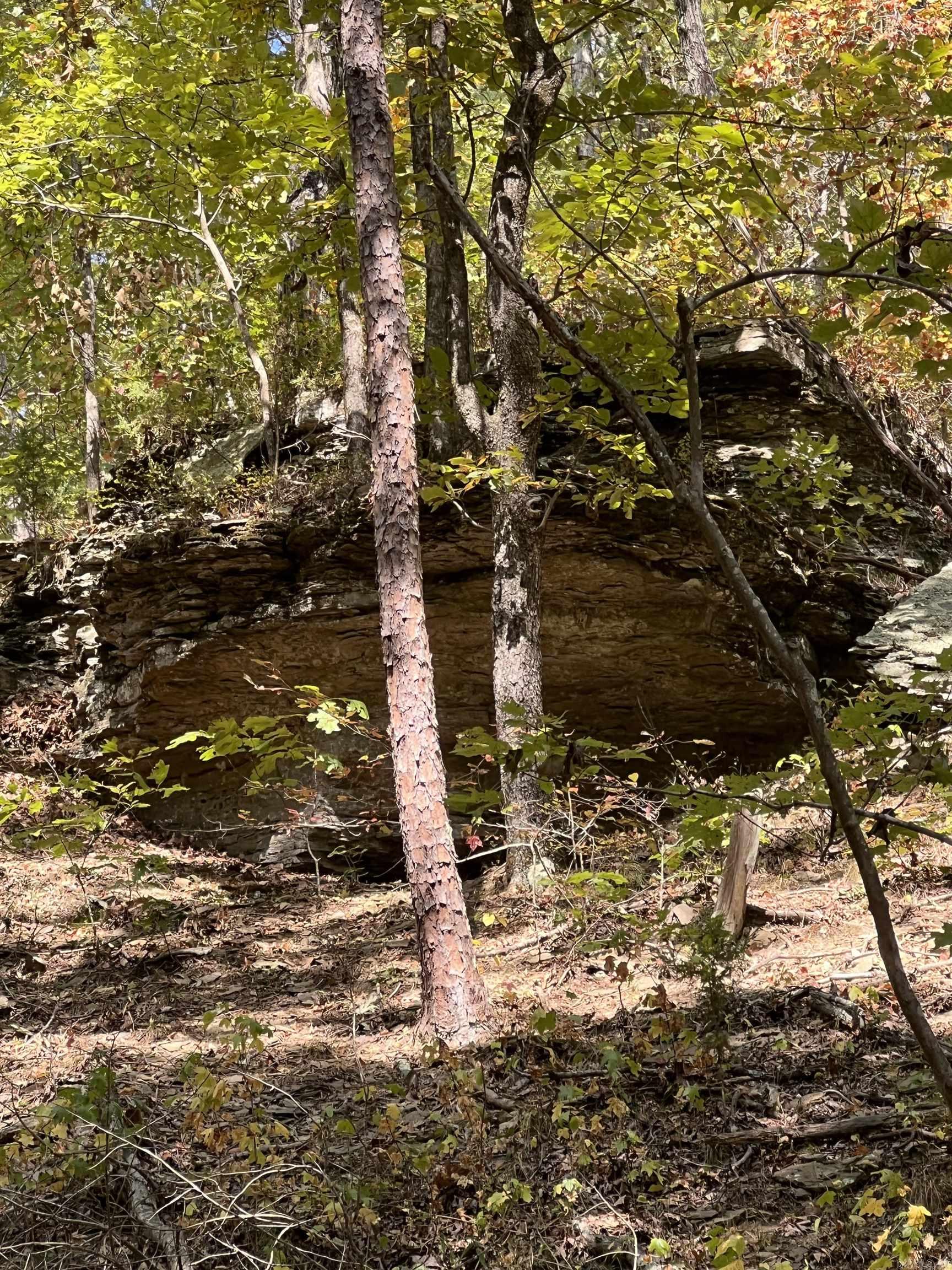 000  Mossy Ridge Rd.  Mountain View, AR