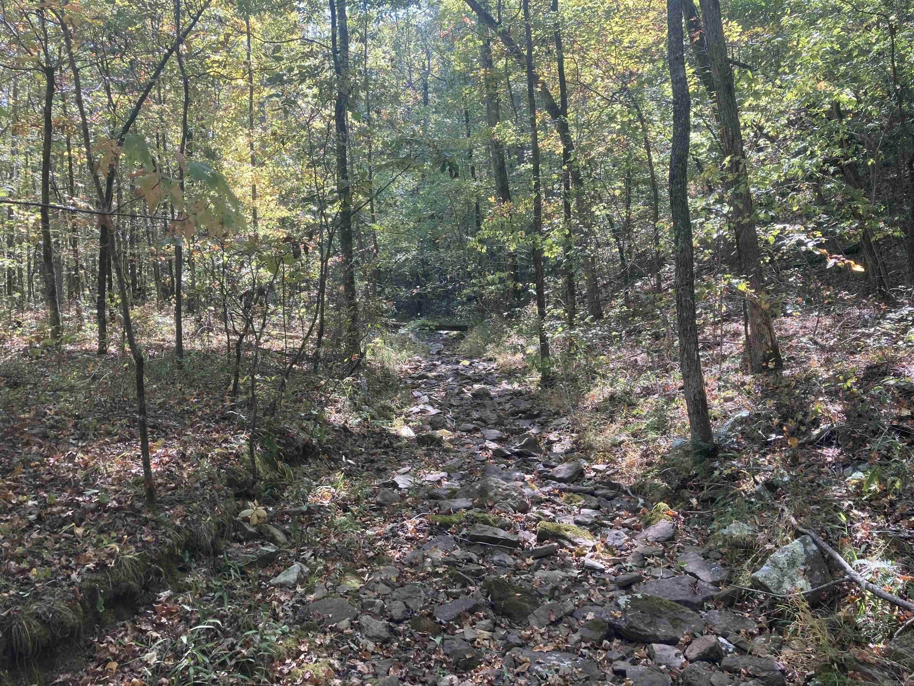 000  Mossy Ridge Rd.  Mountain View, AR