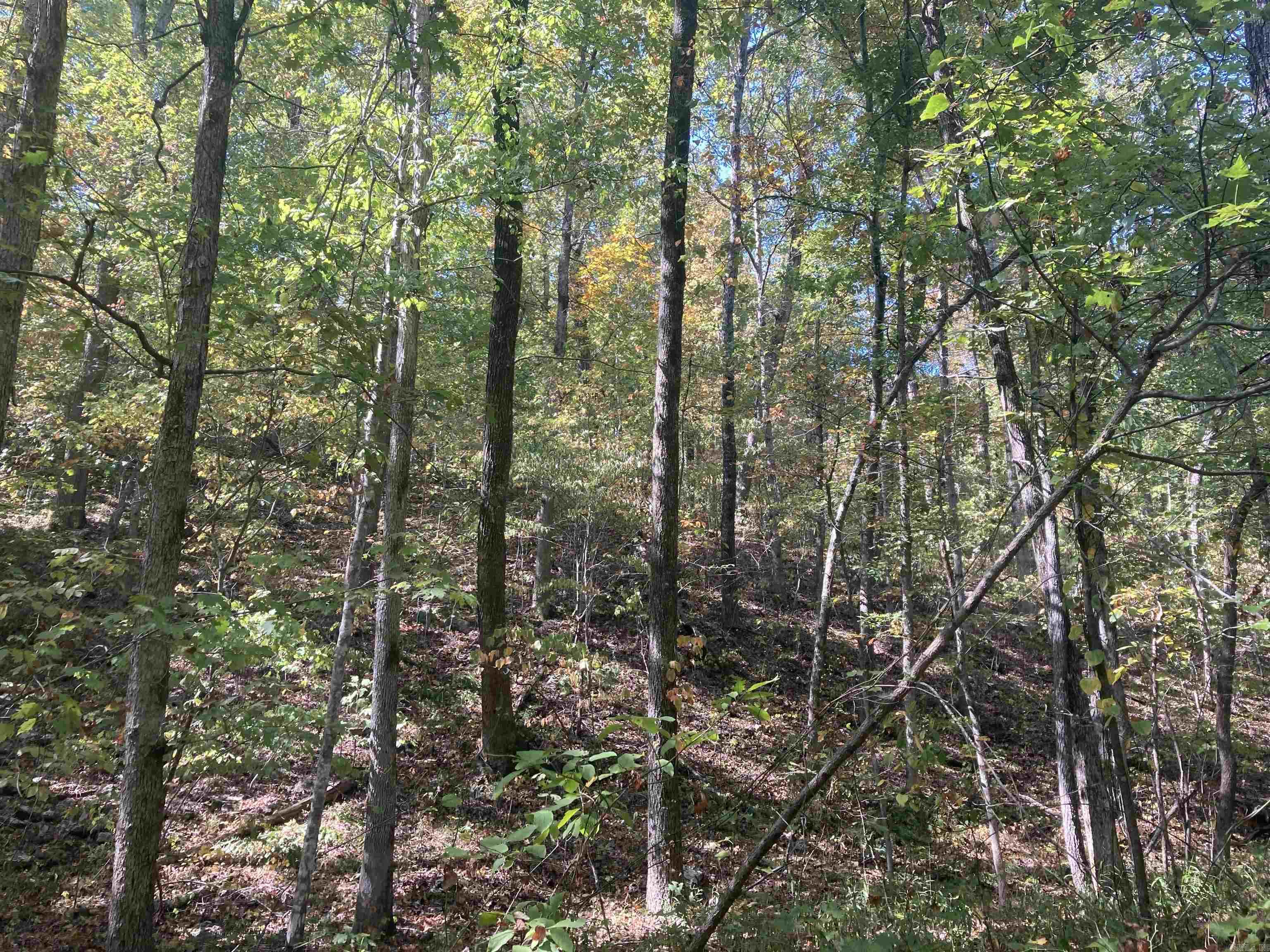 000  Mossy Ridge Rd.  Mountain View, AR