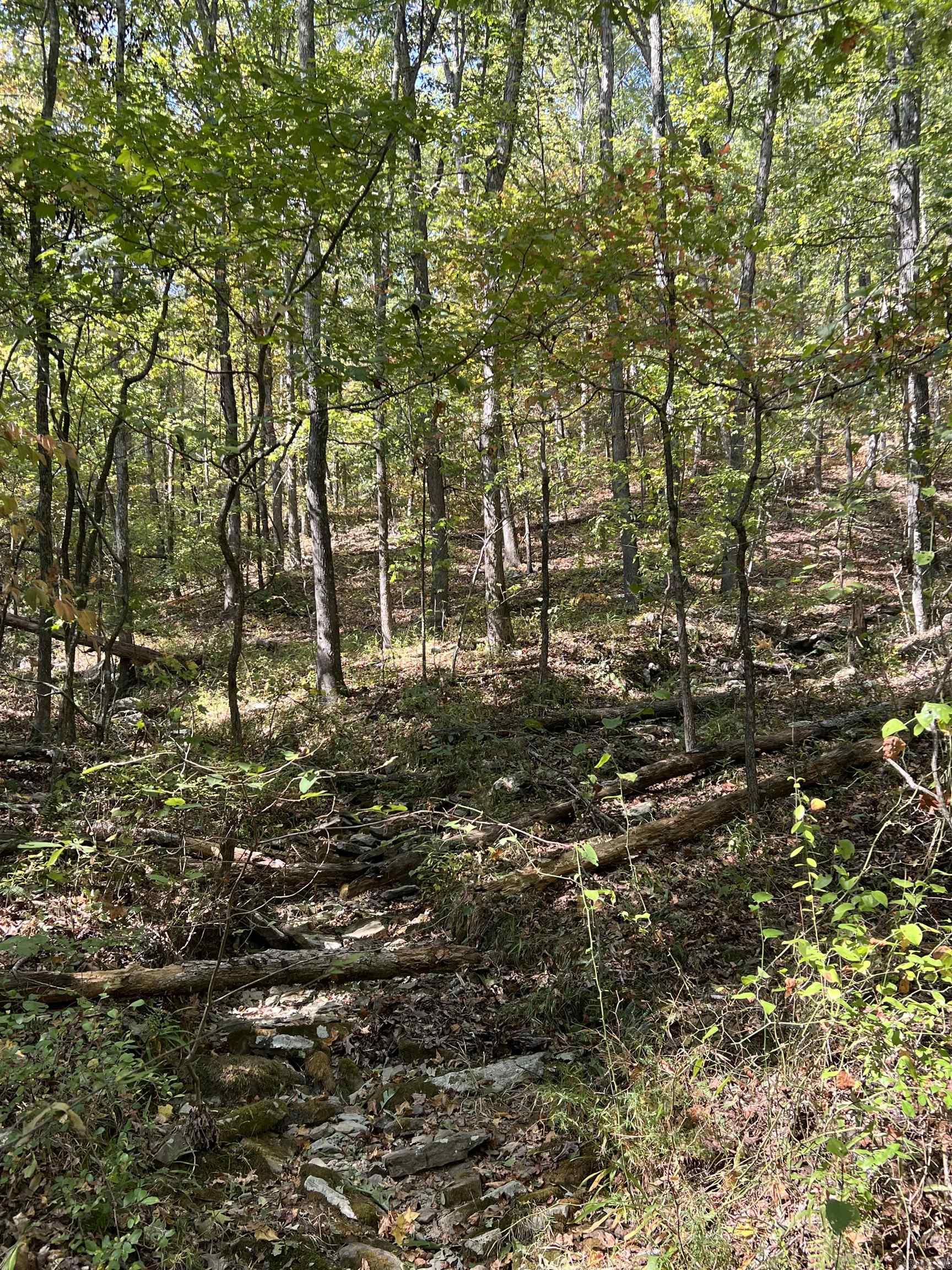 000  Mossy Ridge Rd.  Mountain View, AR