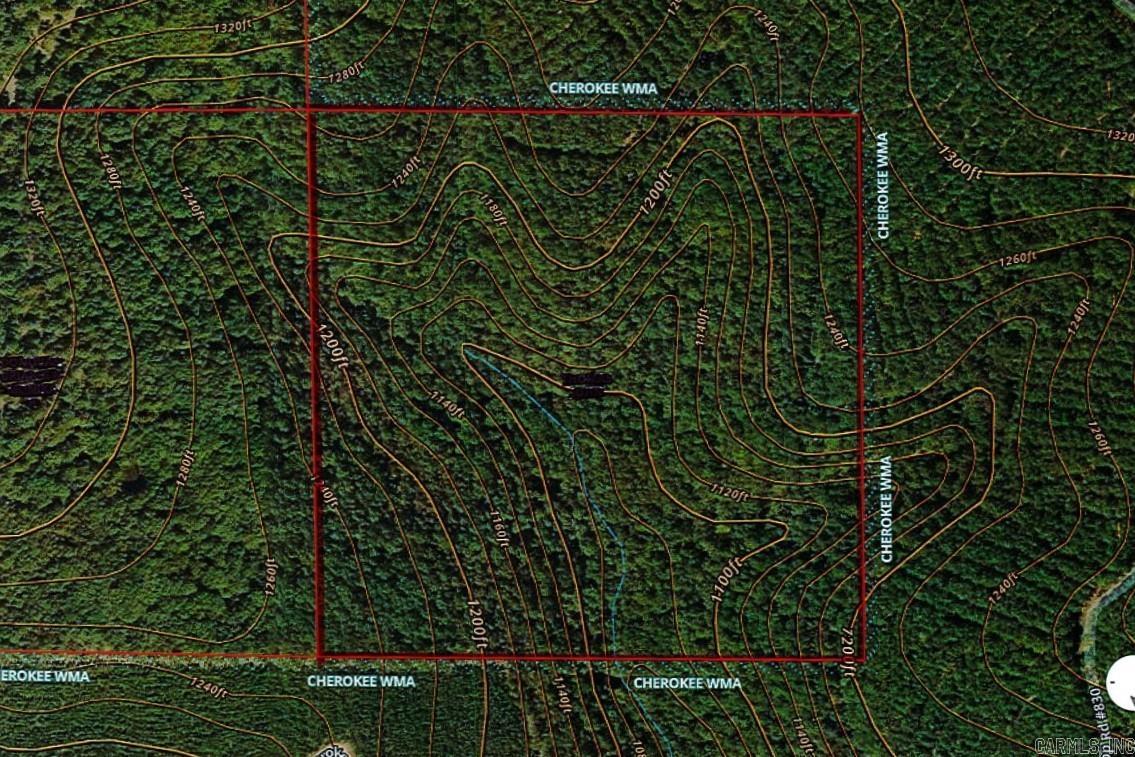 000  Mossy Ridge Rd.  Mountain View, AR