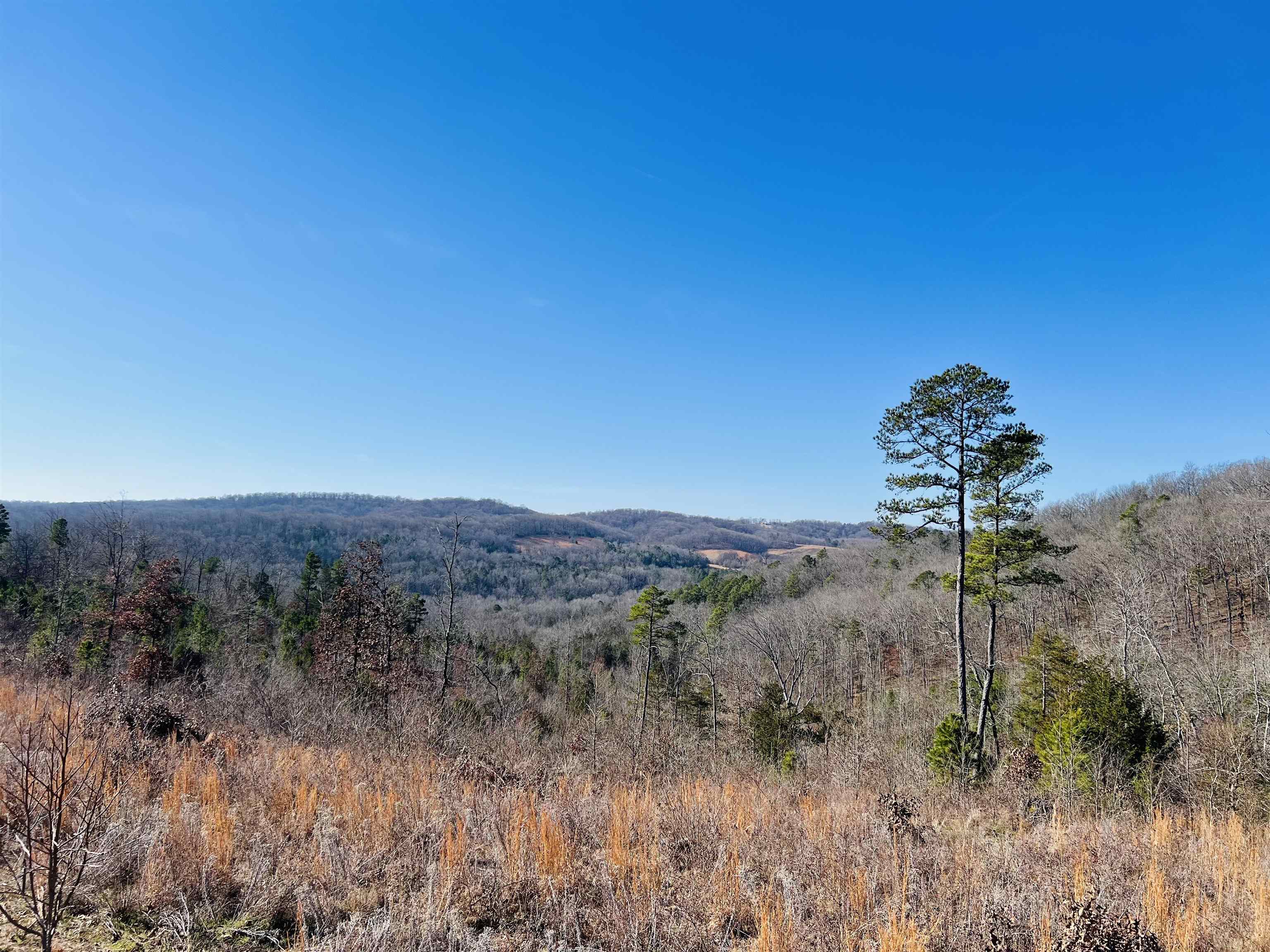 60  Hilltop Lane  Mount Pleasant, AR