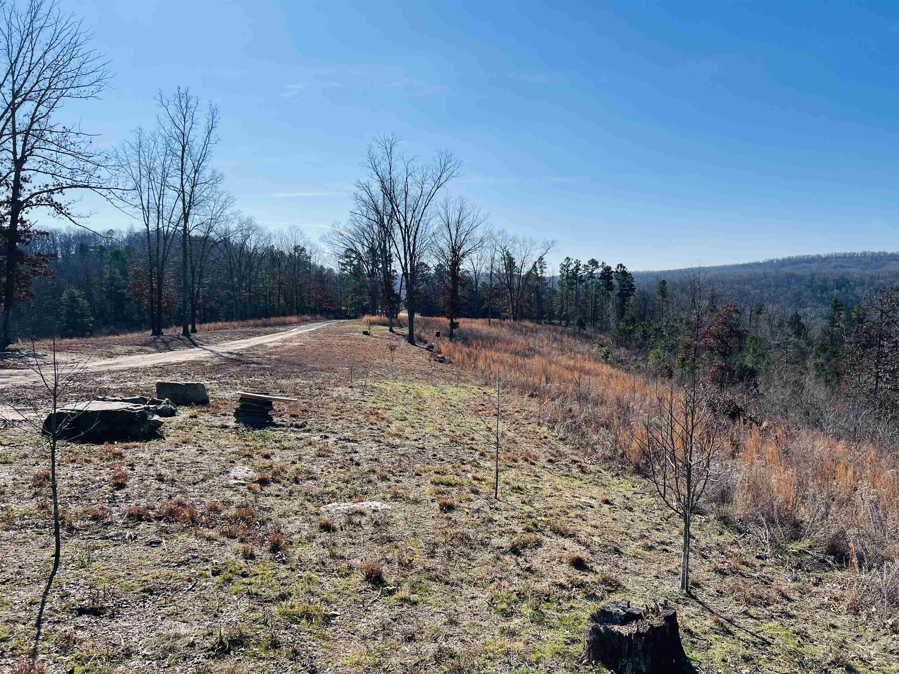 60  Hilltop Lane  Mount Pleasant, AR