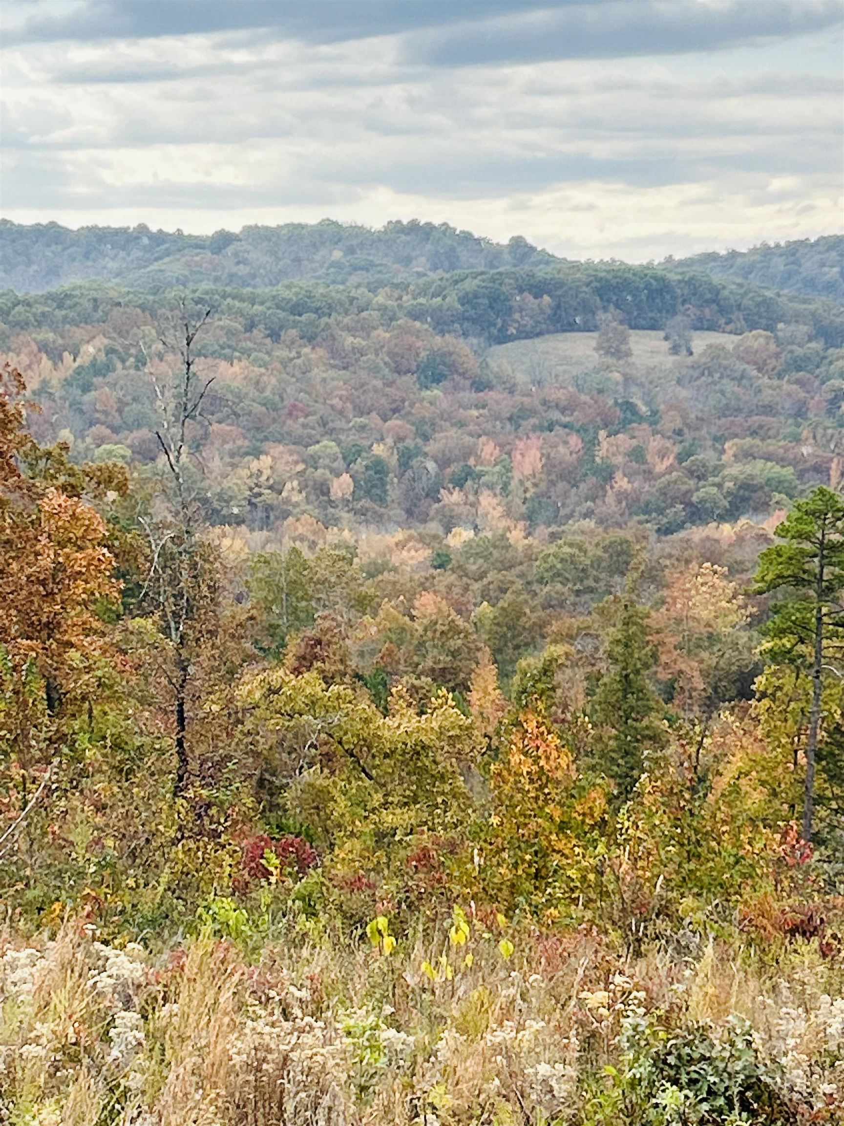 60  Hilltop Lane  Mount Pleasant, AR