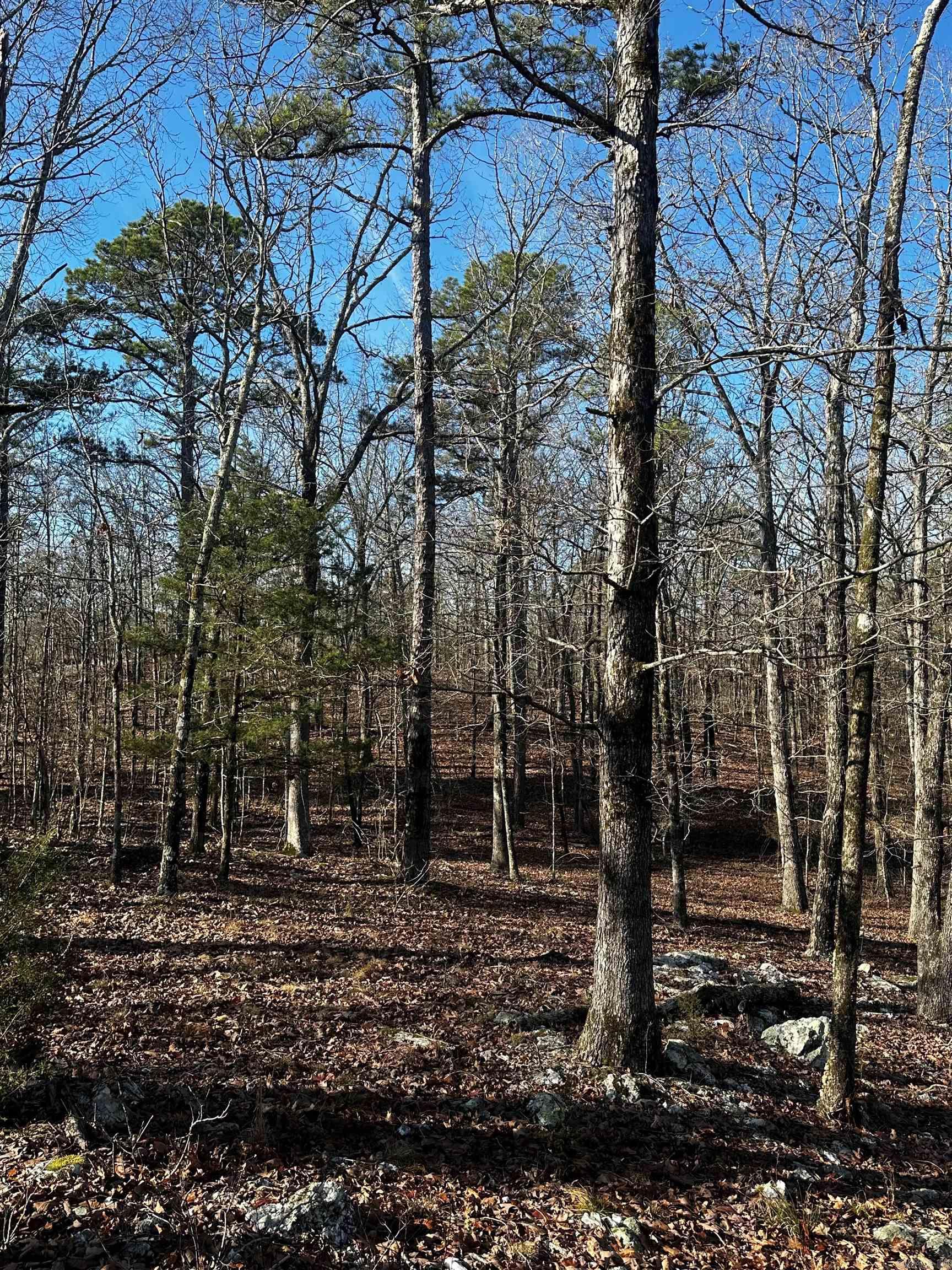 00  Squirrel Rd Lot B  Alexander, AR