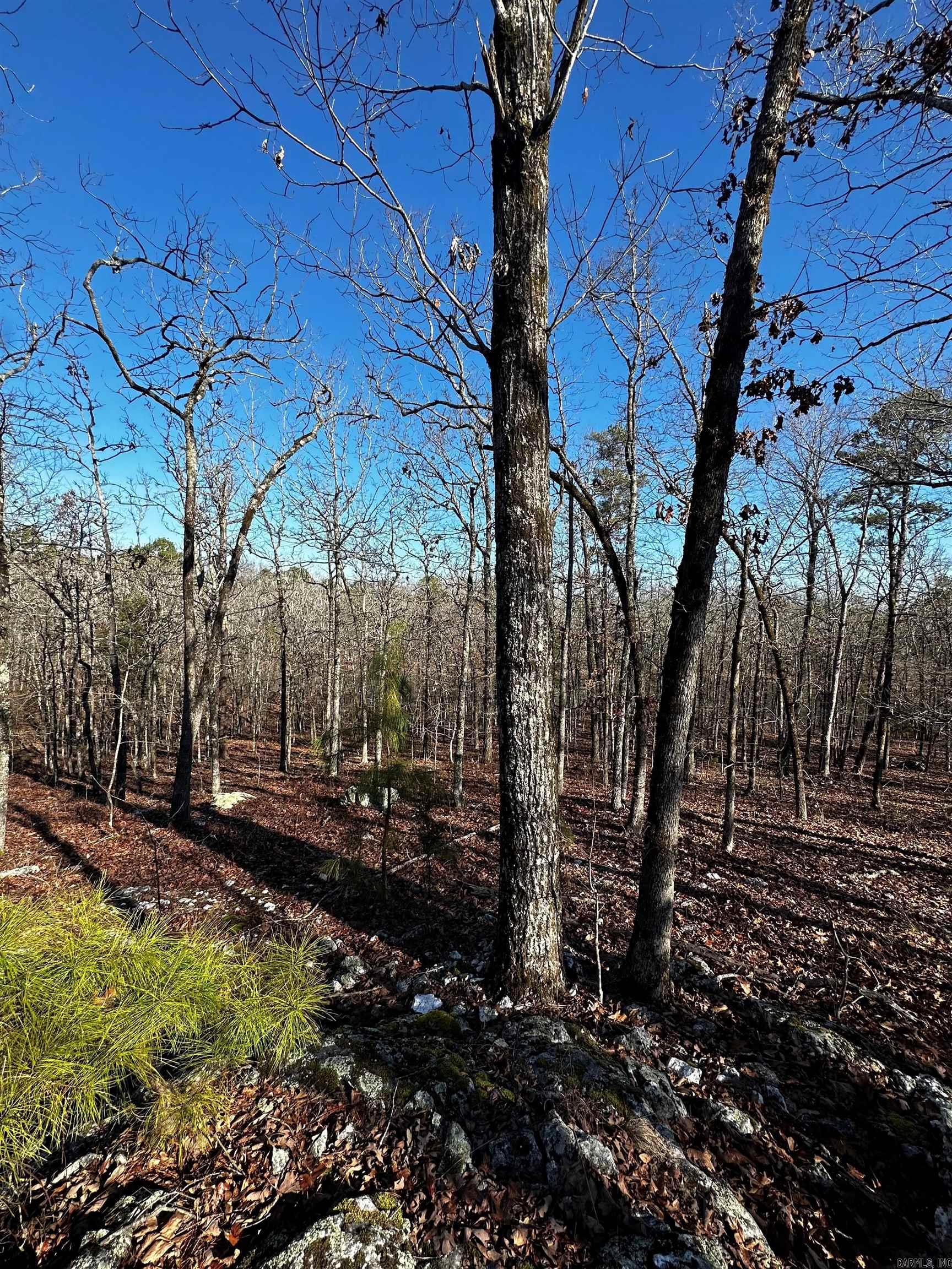 00  Squirrel Rd Lot B  Alexander, AR