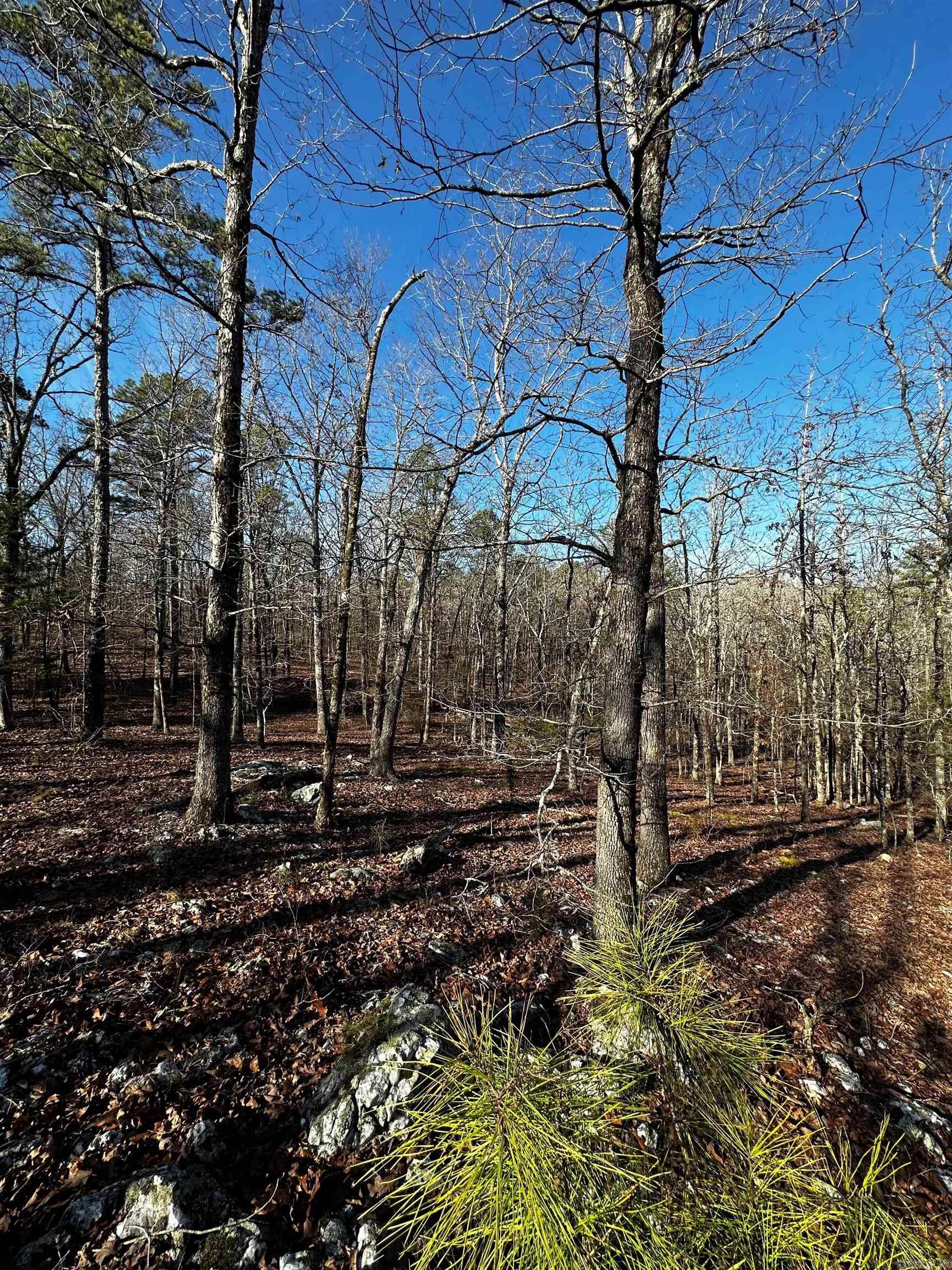 00  Squirrel Rd Lot B  Alexander, AR