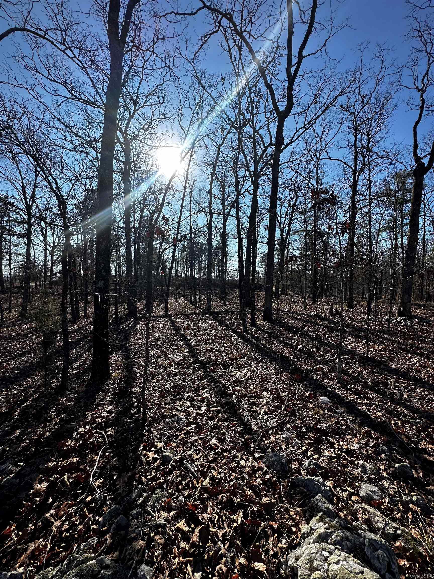 00  Squirrel Rd Lot B  Alexander, AR