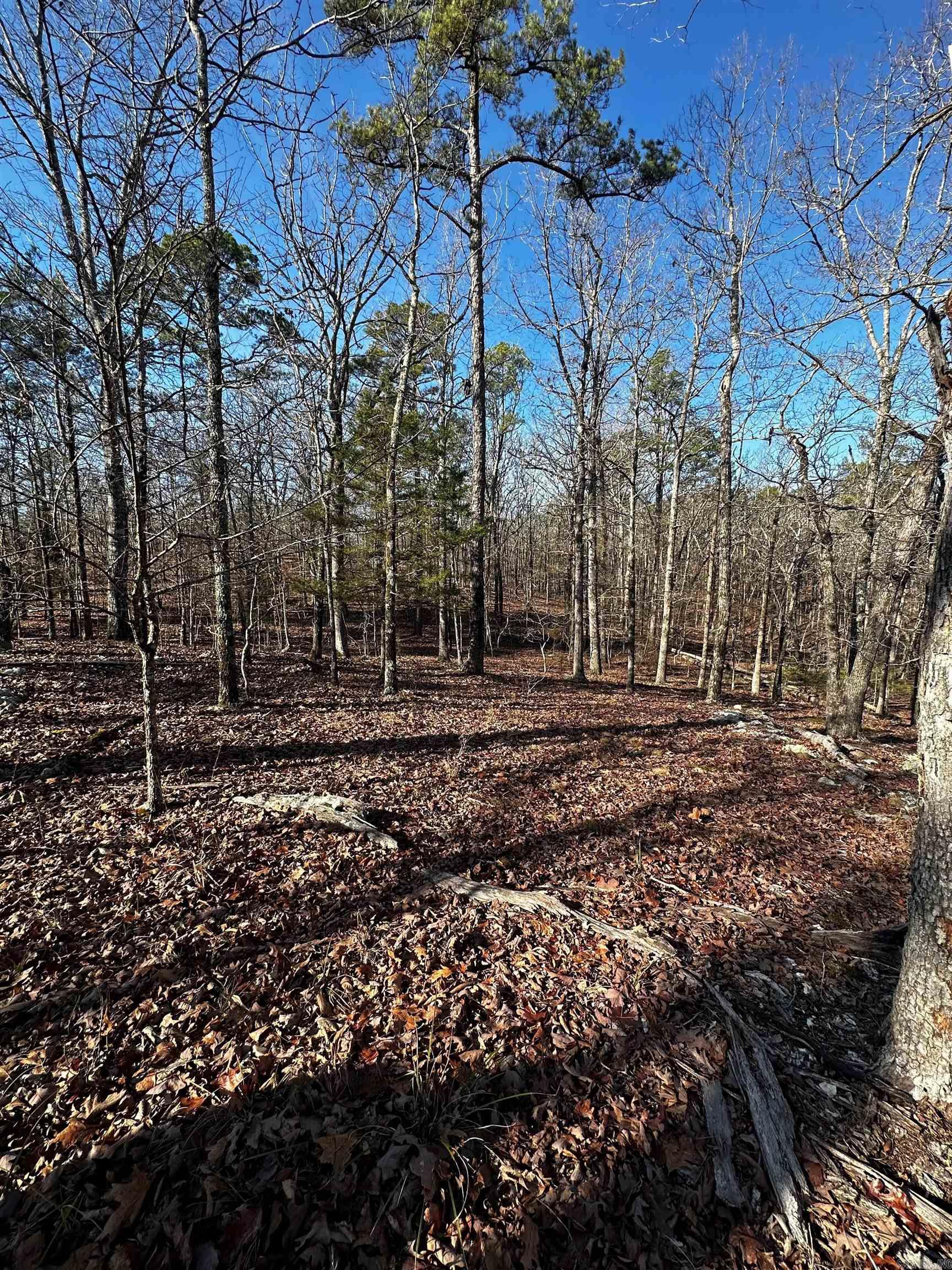 00  Squirrel Rd Lot B  Alexander, AR