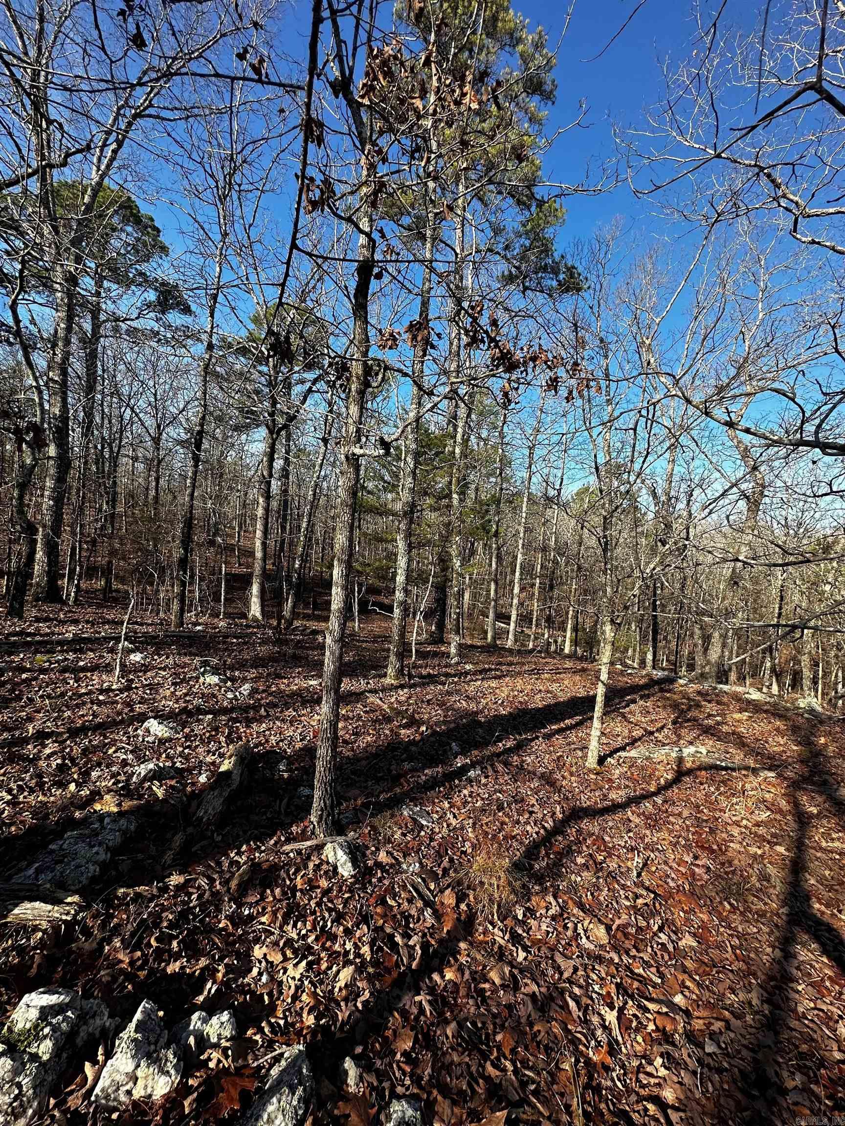 00  Squirrel Rd Lot B  Alexander, AR