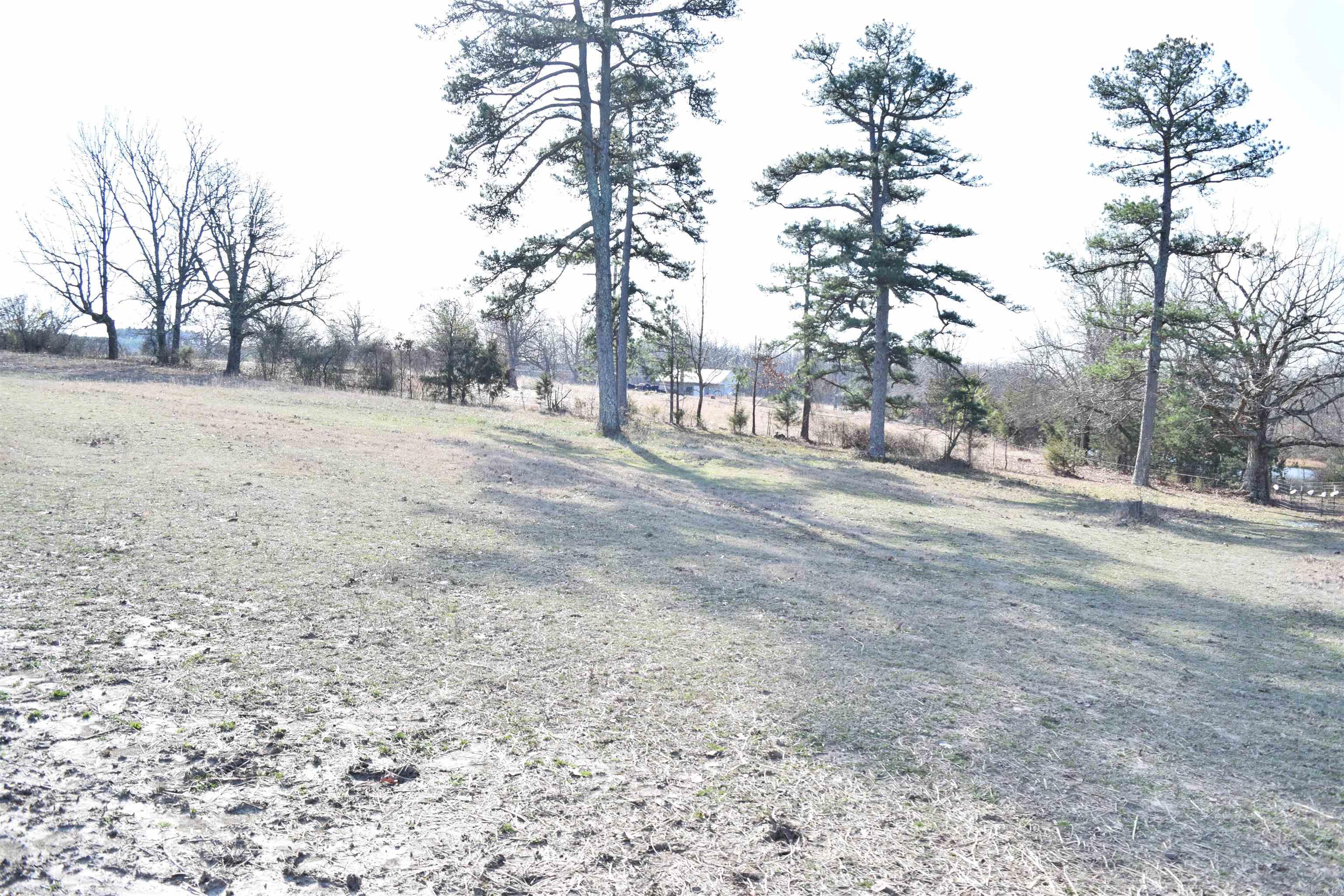 11798  Highway 110  Shirley, AR