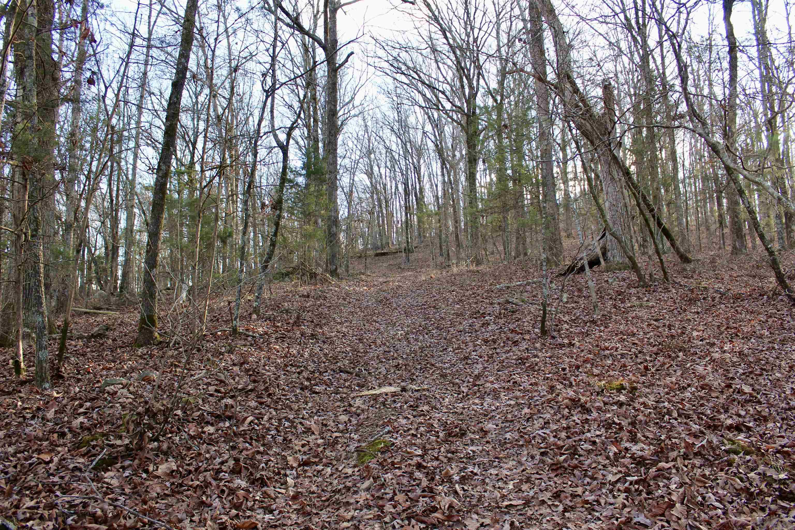 000  Virginia Way  Searcy, AR