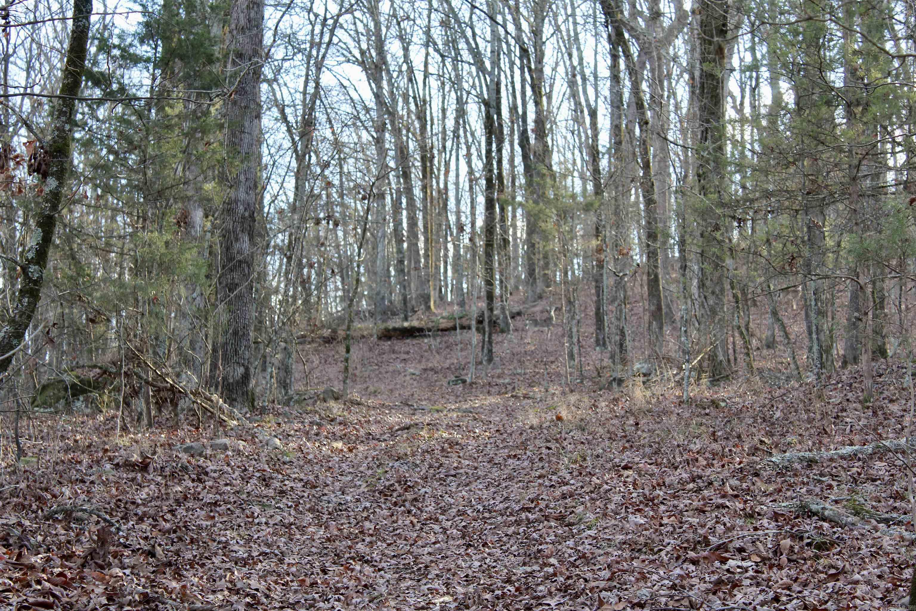 000  Virginia Way  Searcy, AR