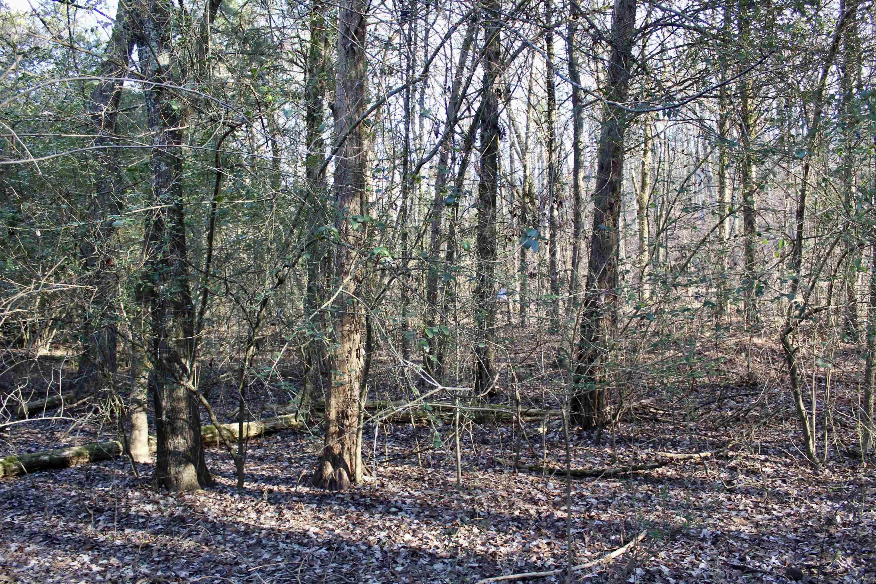 000 Virginia Way  Searcy, AR
