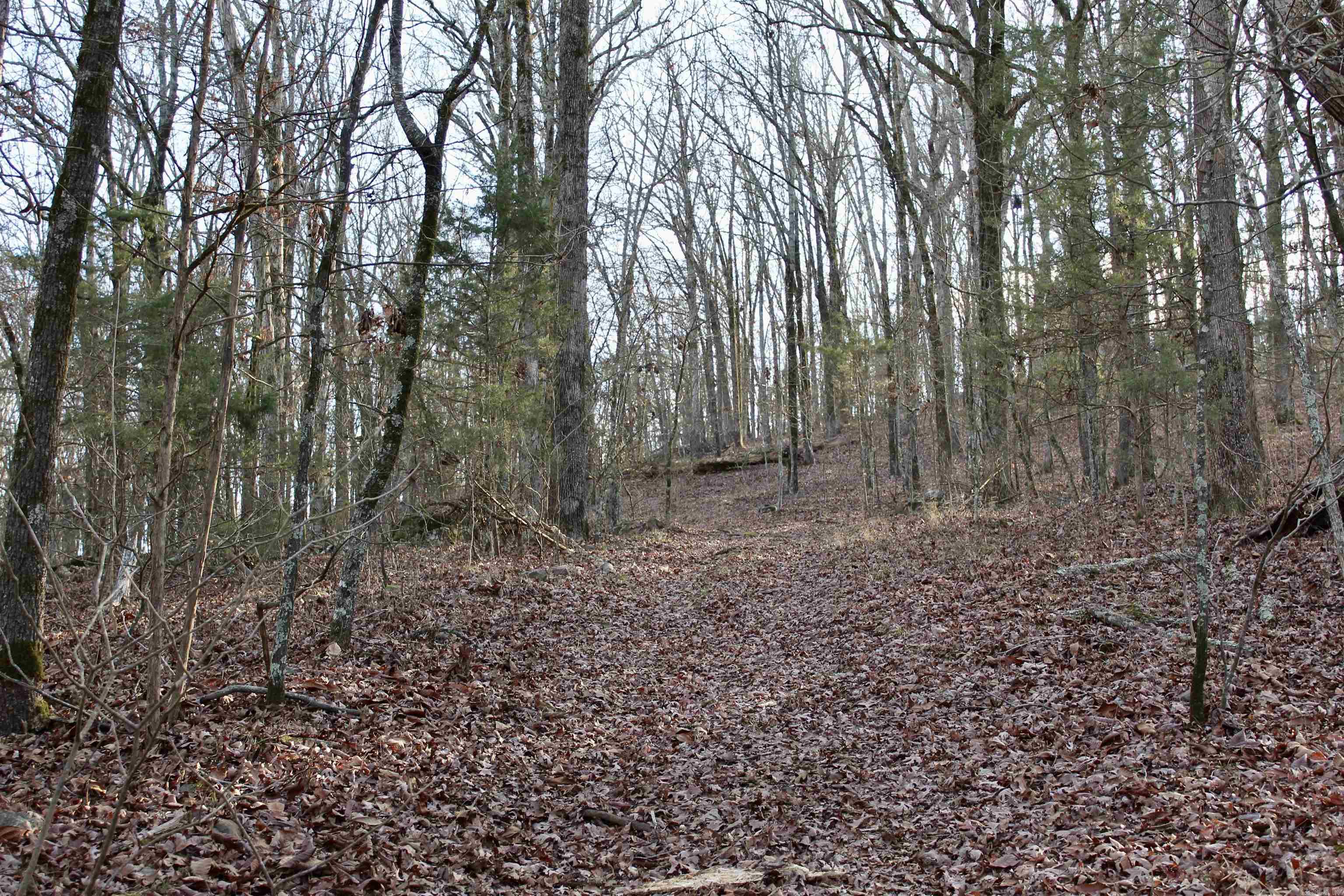 000  Virginia Way  Searcy, AR