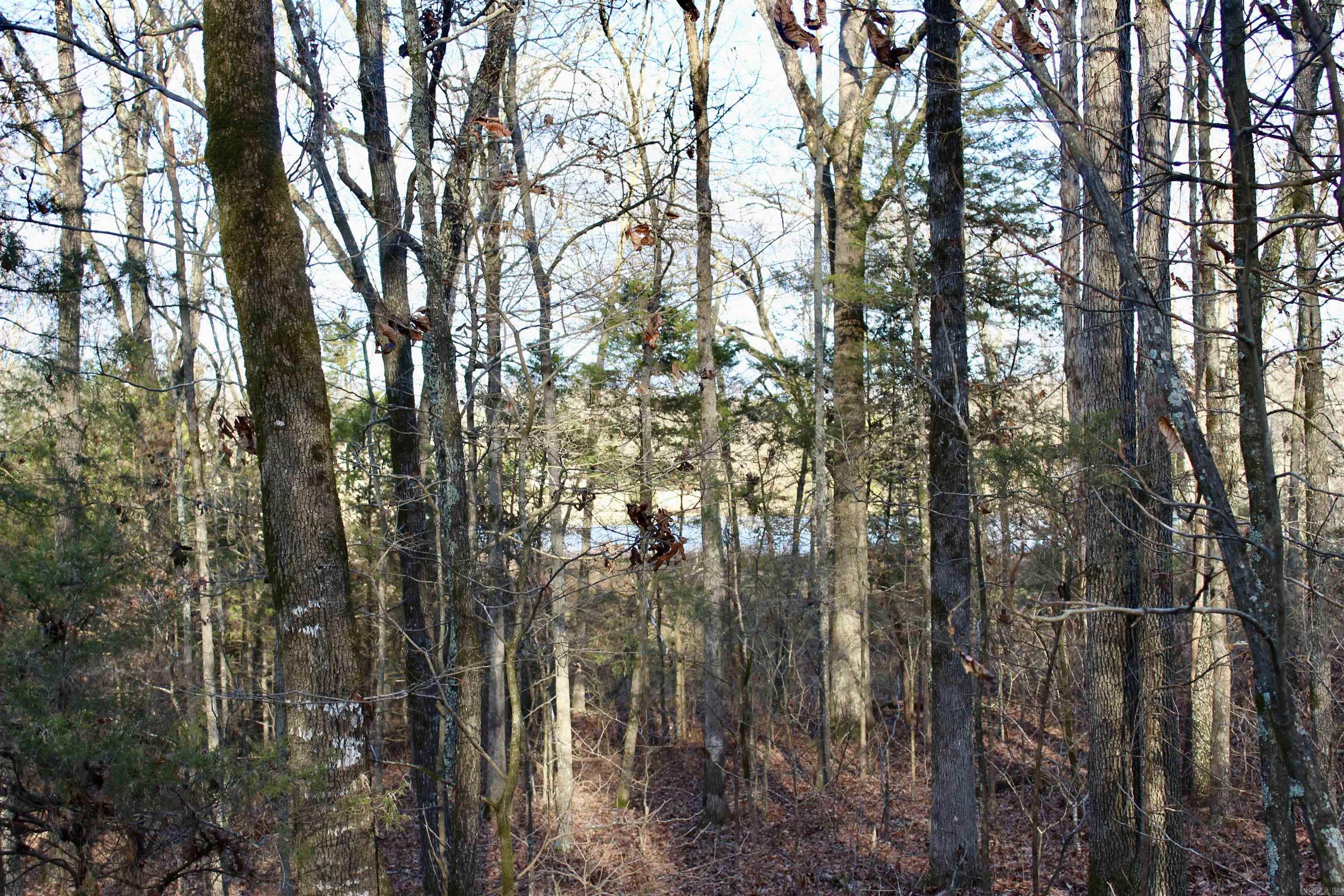 000  Virginia Way  Searcy, AR
