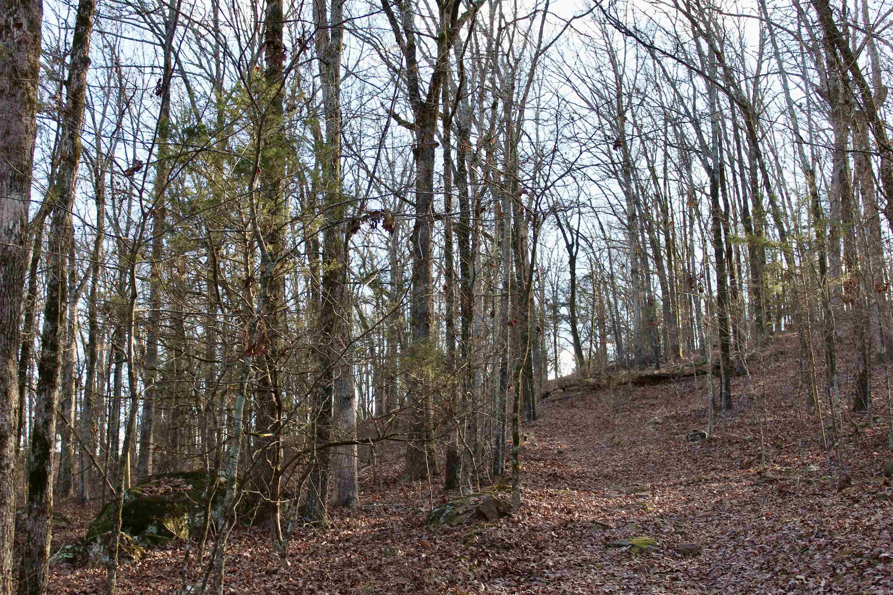 000  Virginia Way  Searcy, AR