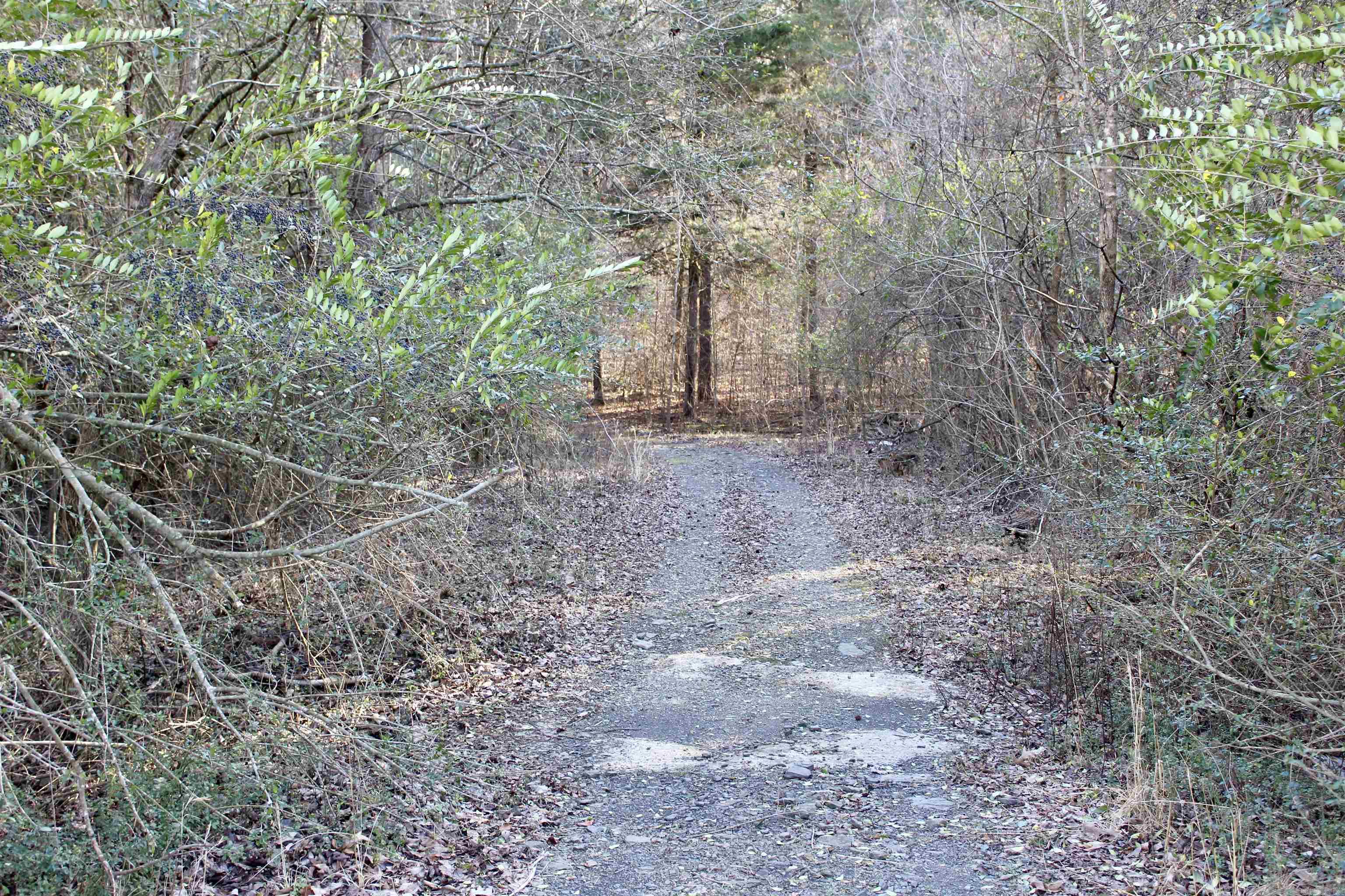 000  Virginia Way  Searcy, AR