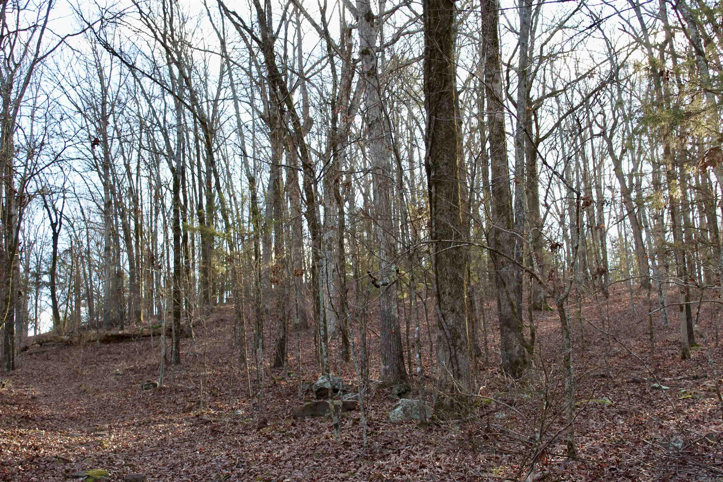 000 Virginia Way  Searcy, AR