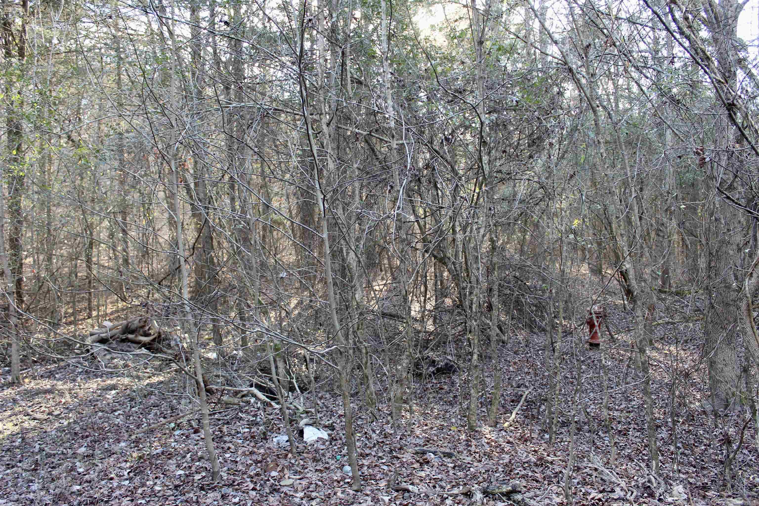 000  Virginia Way  Searcy, AR