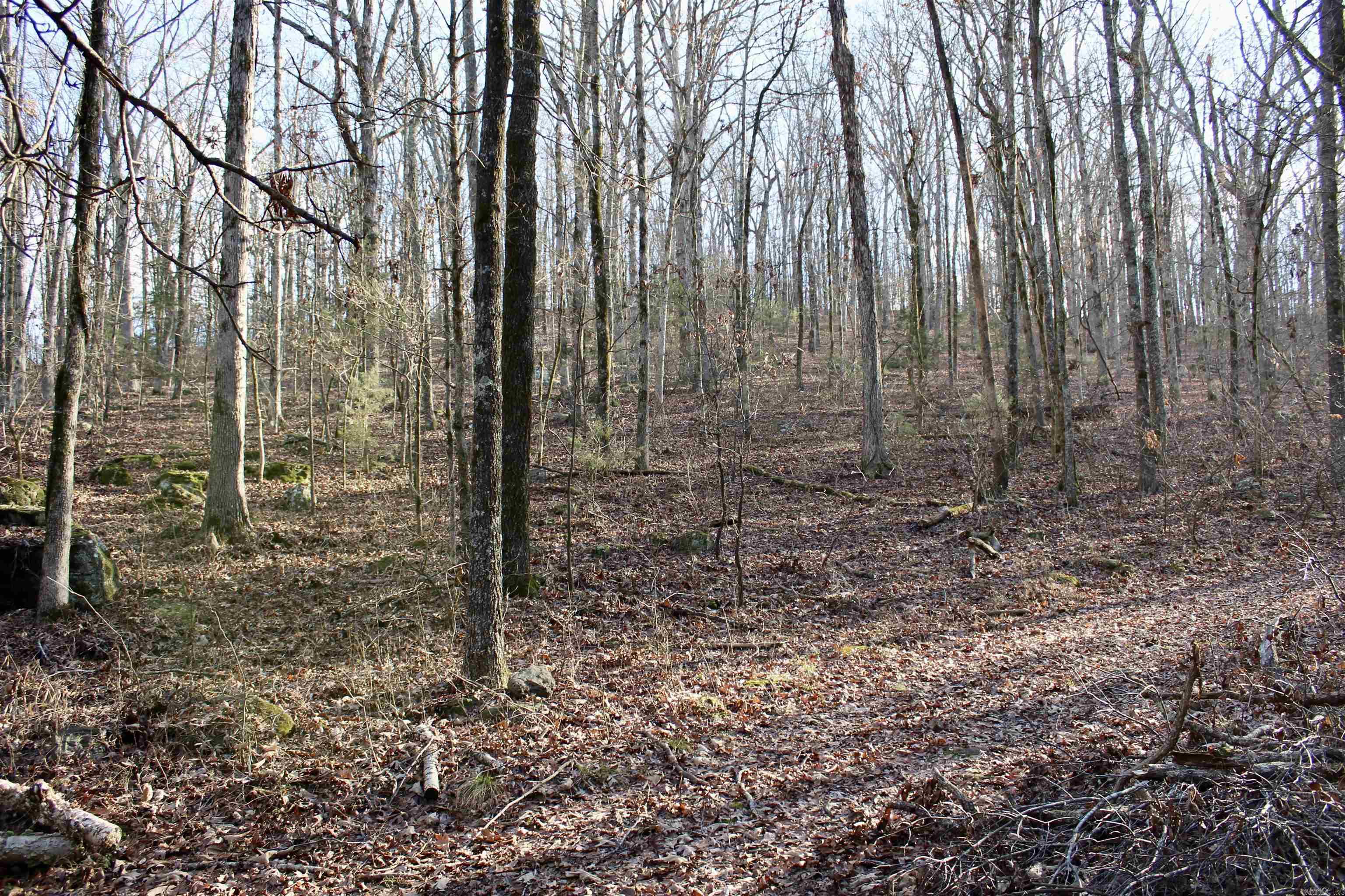 000  Virginia Way  Searcy, AR