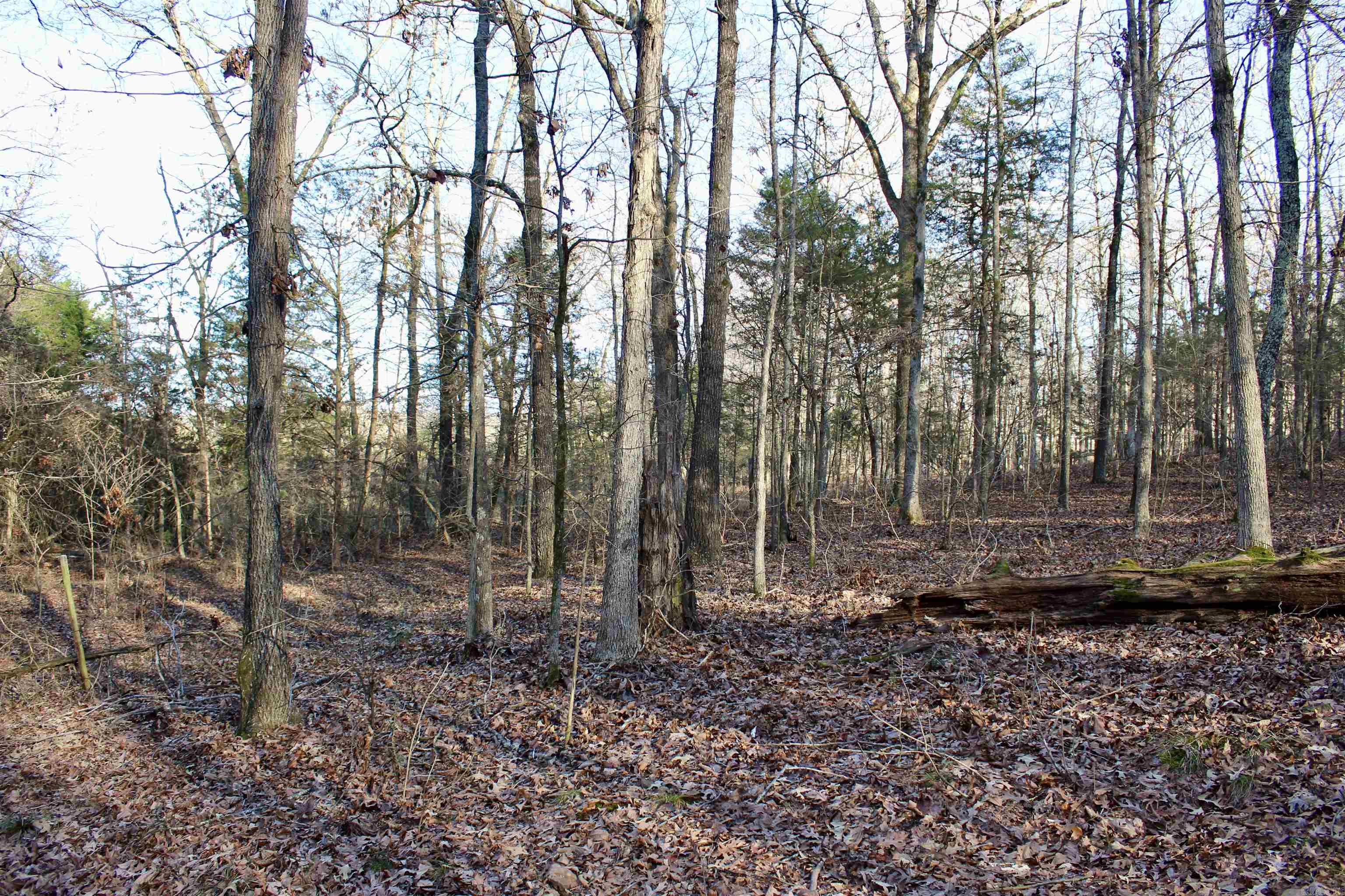 000  Virginia Way  Searcy, AR