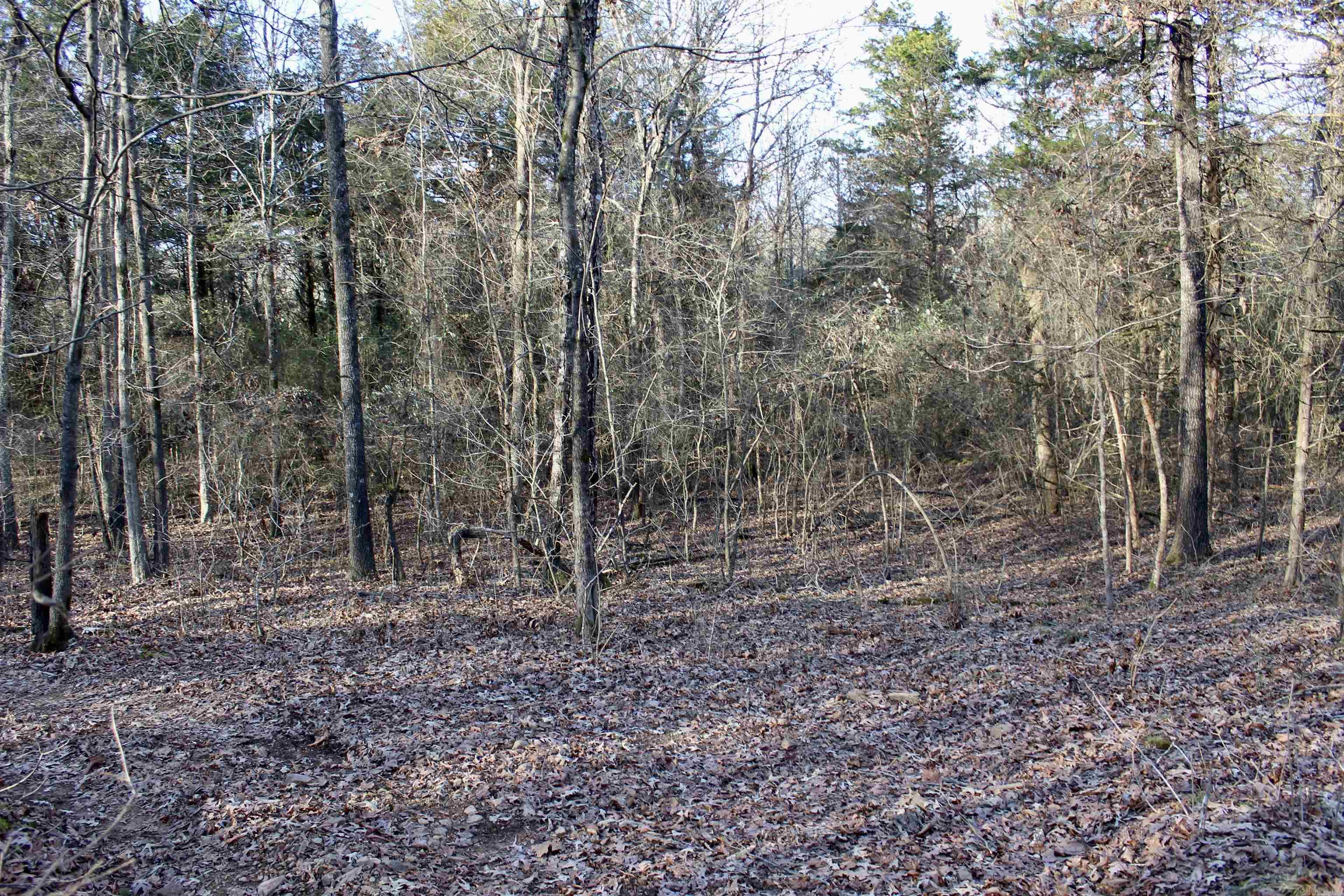 000  Virginia Way  Searcy, AR