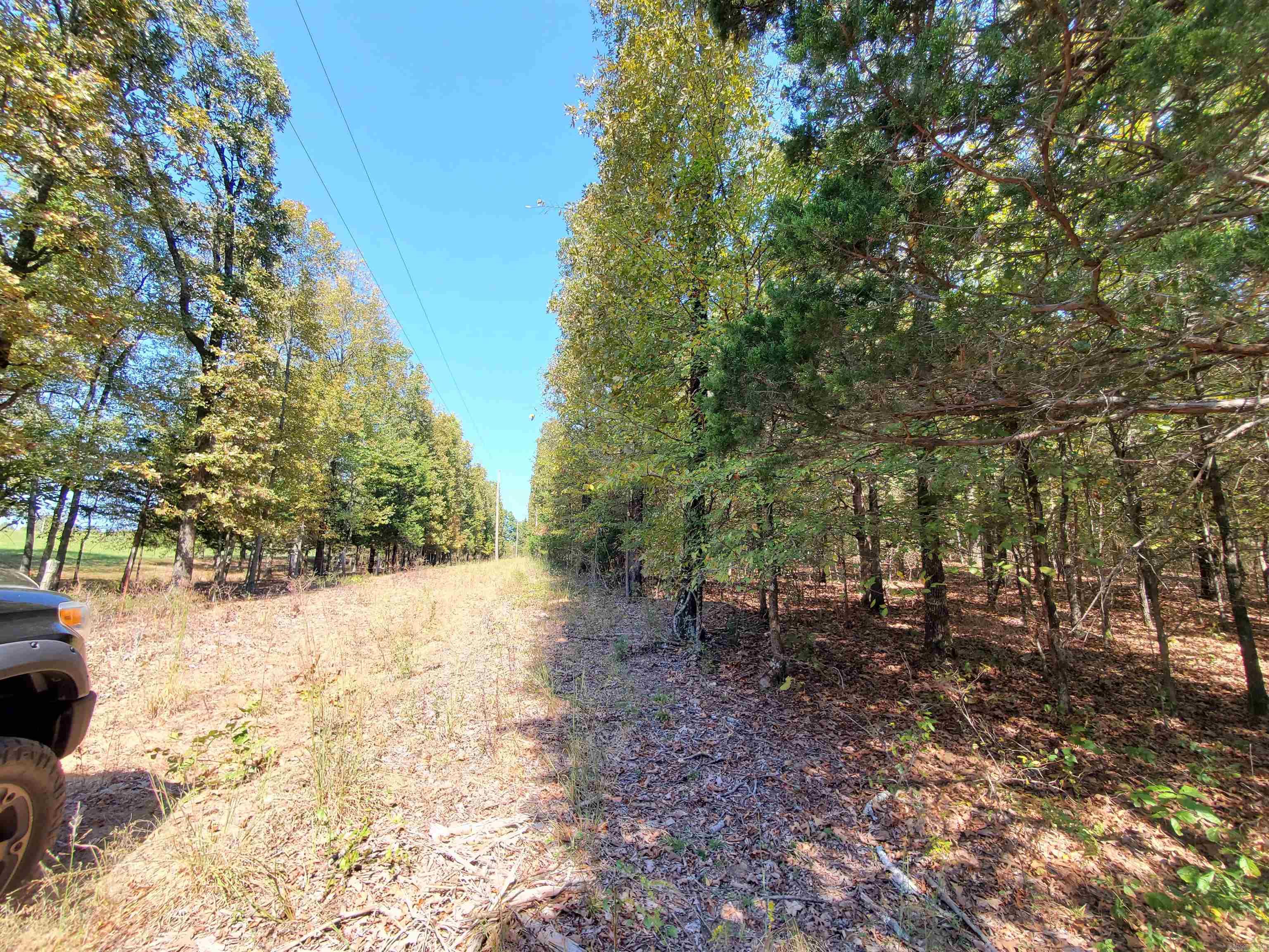 176  Double G Farm  Romance, AR