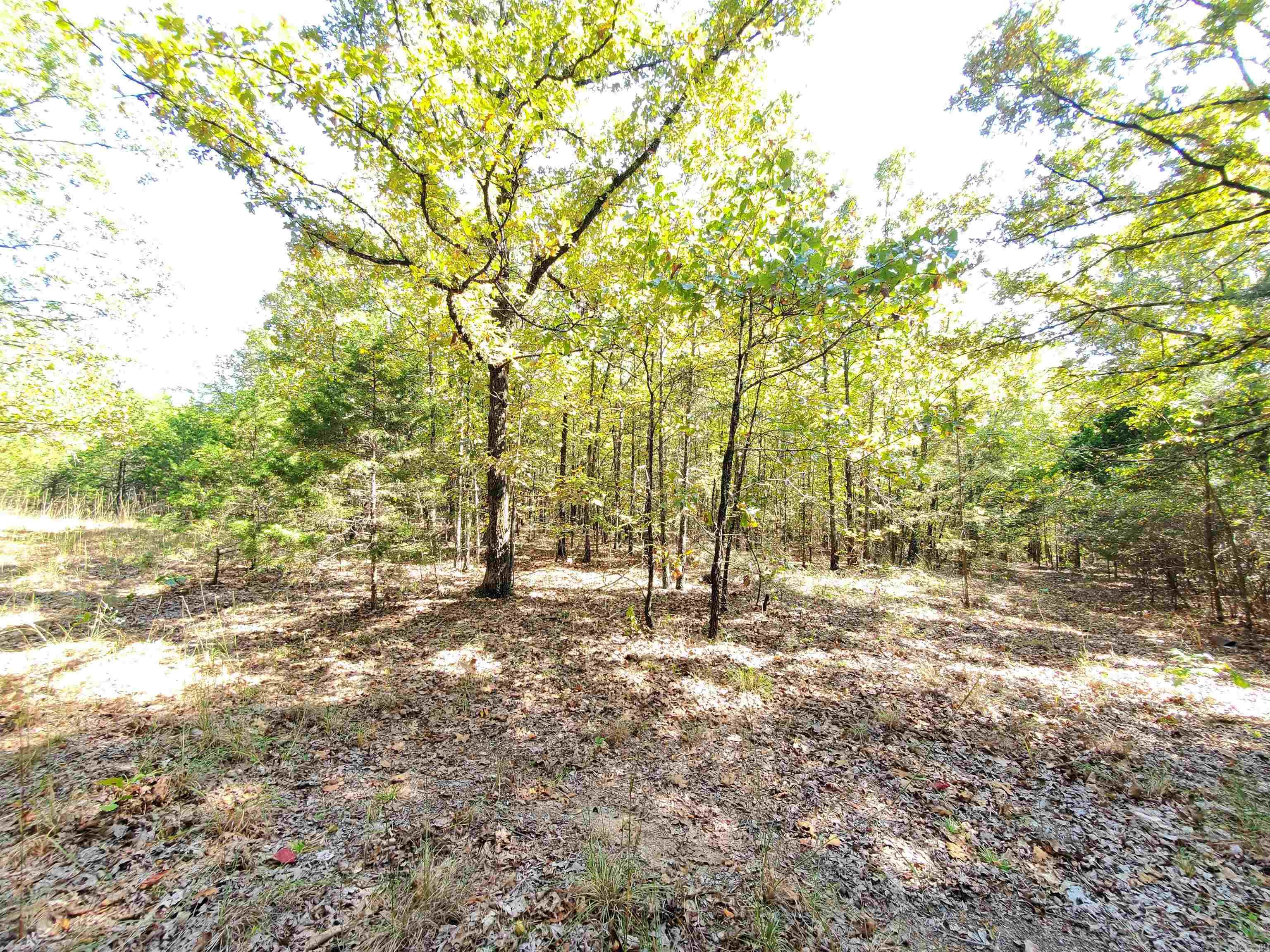 176  Double G Farm  Romance, AR