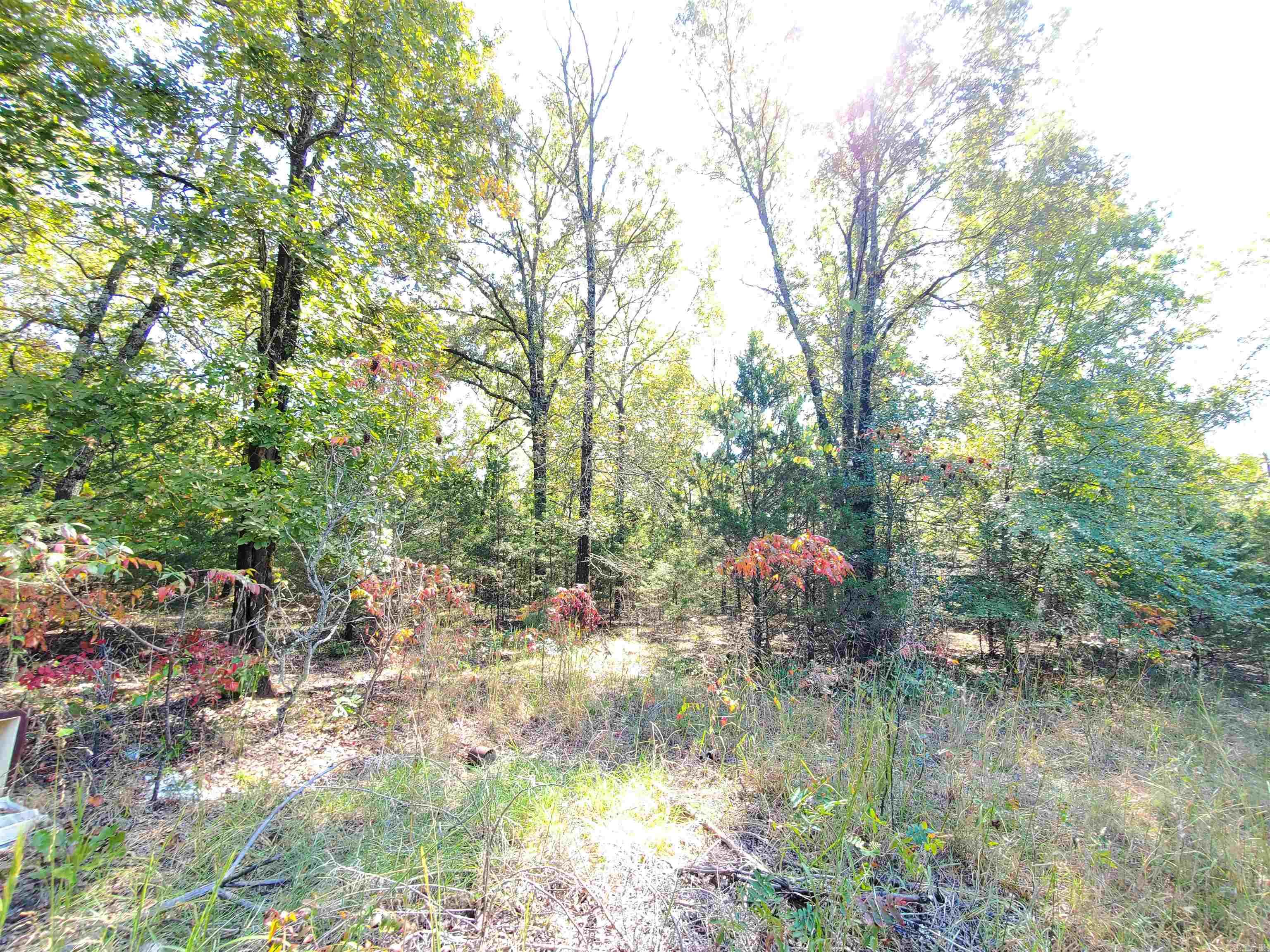 176  Double G Farm  Romance, AR