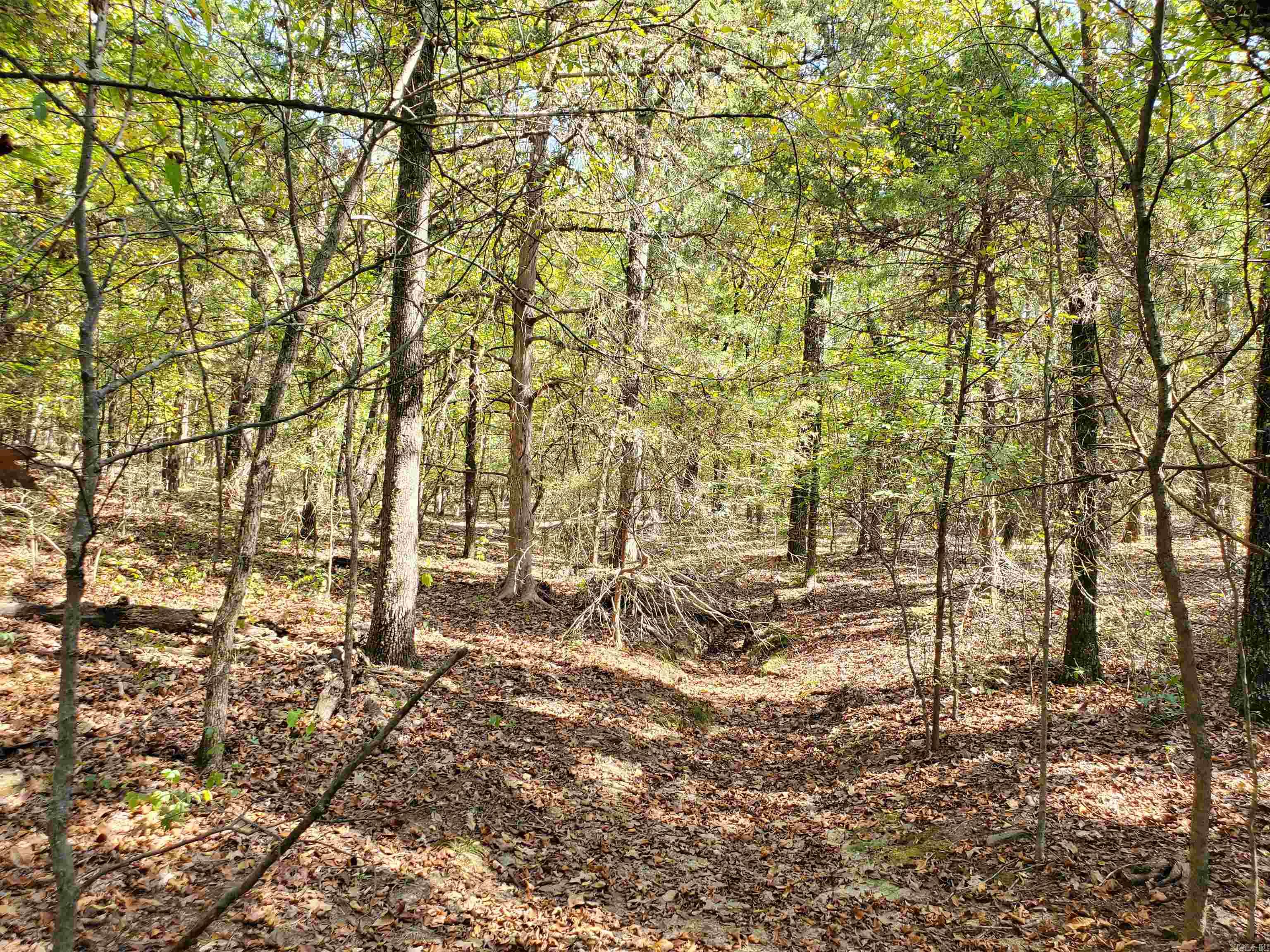 176  Double G Farm  Romance, AR
