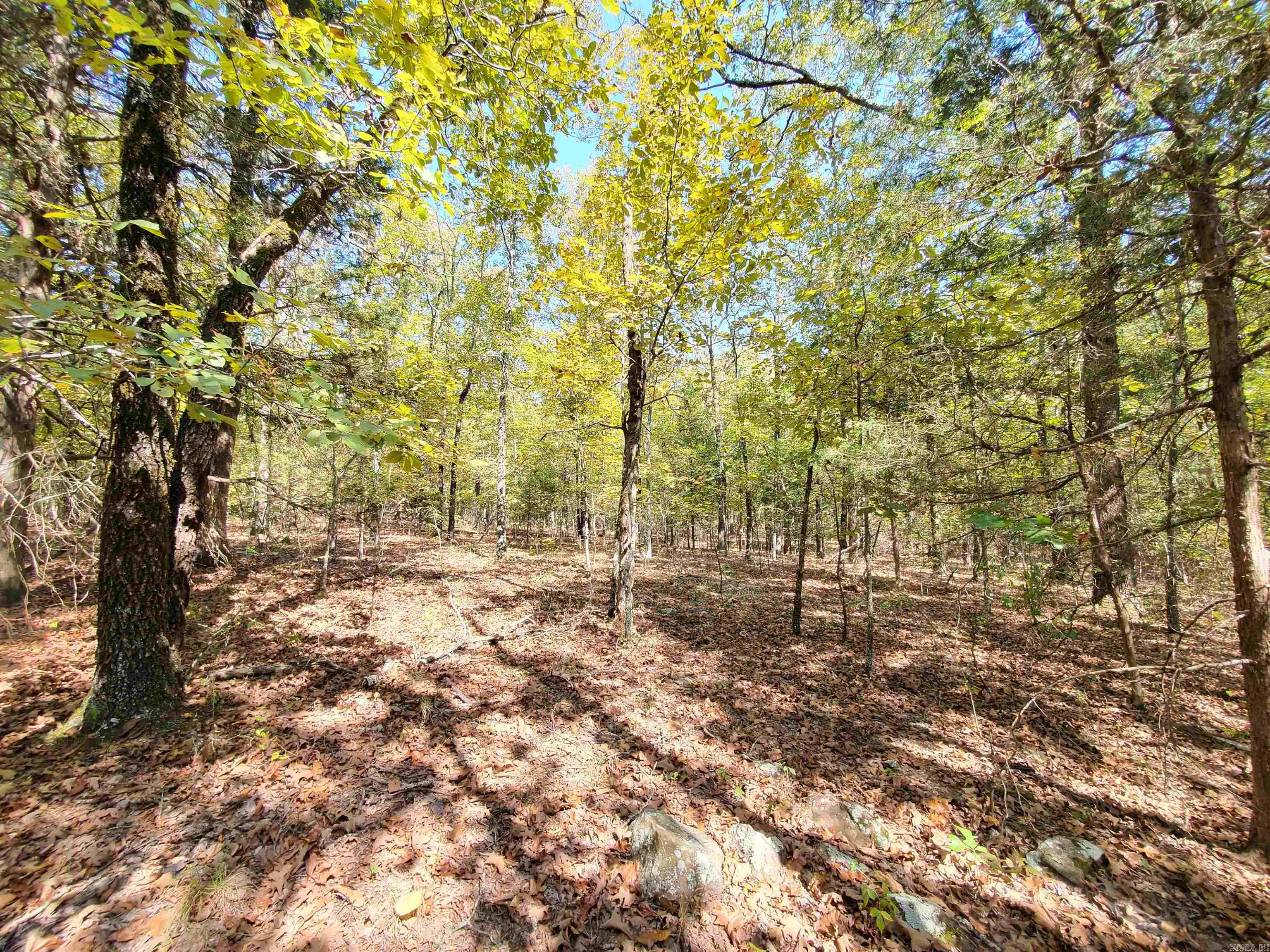 176  Double G Farm  Romance, AR